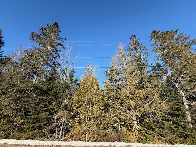 Lot 31 Gin Cove Road Perry, ME 04667 - Photo 1 of 18 IMG_0459 (1)