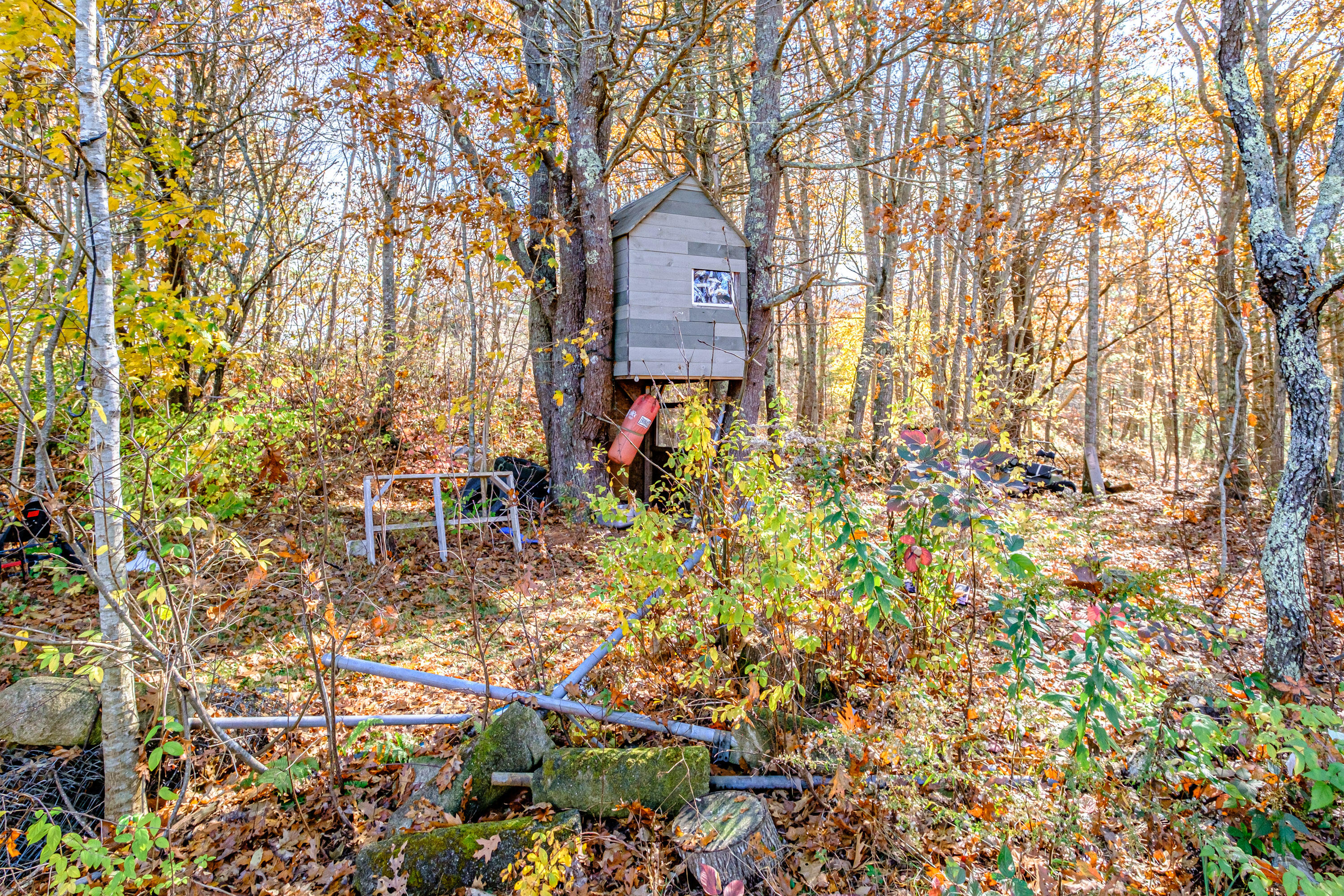 9 Chaffee Drive Arrowsic, ME 04530 - Photo 56 of 69 20241101gp-62063