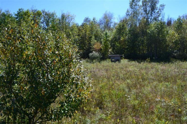 5312 18 Mile Road Northeast Cedar Springs, MI 49319 - Photo 11 of 11 20210914193125444506000000-o