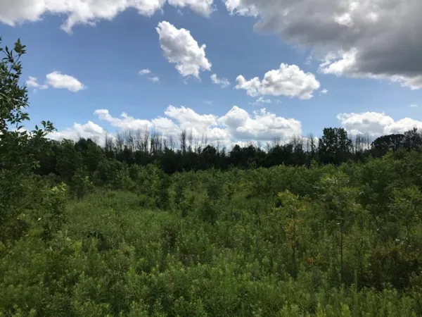 $274,900 | 5312 18 Mile Road Northeast, Cedar Springs, MI 49319