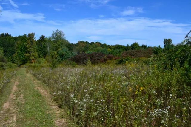 $274,900 | 5312 18 Mile Road Northeast, Cedar Springs, MI 49319