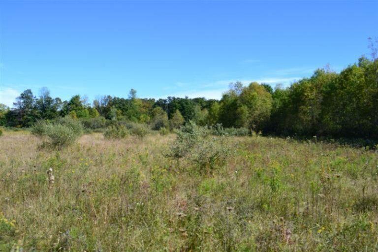 5312 18 Mile Road Northeast Cedar Springs, MI 49319 - Photo 9 of 11 20211111133514502068000000-o