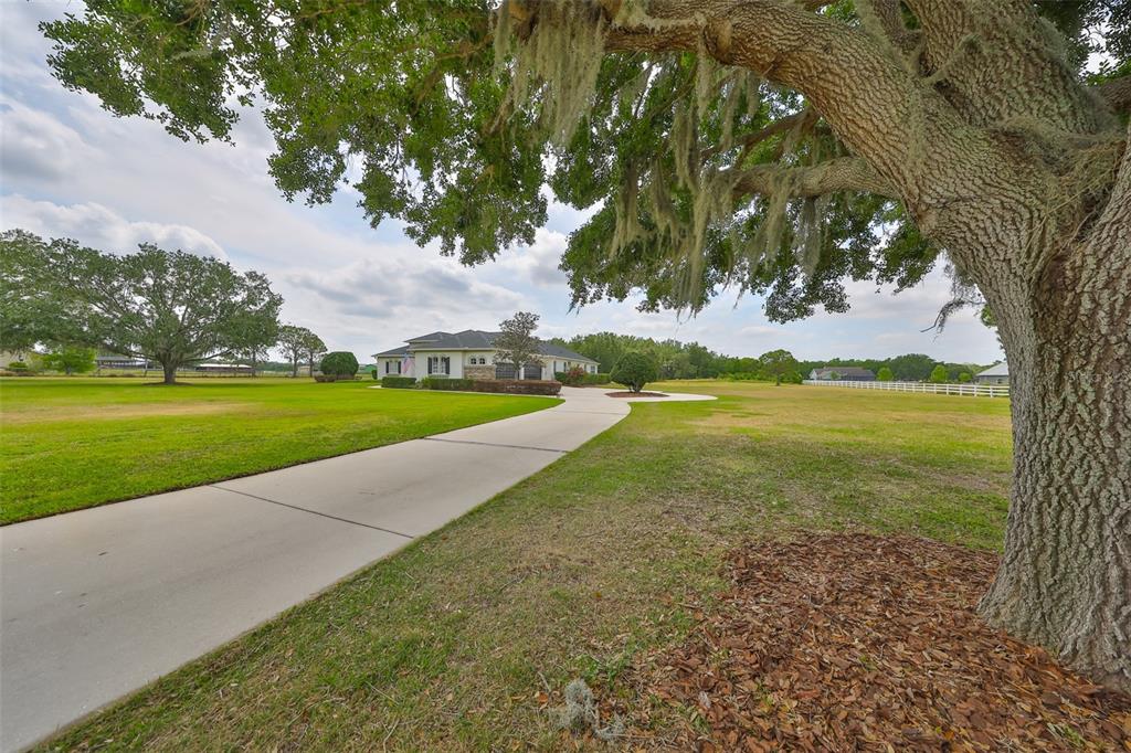 18423 Lithia Towne Road Lithia, FL 33547 - Photo 67 of 79 Gallery Image 67