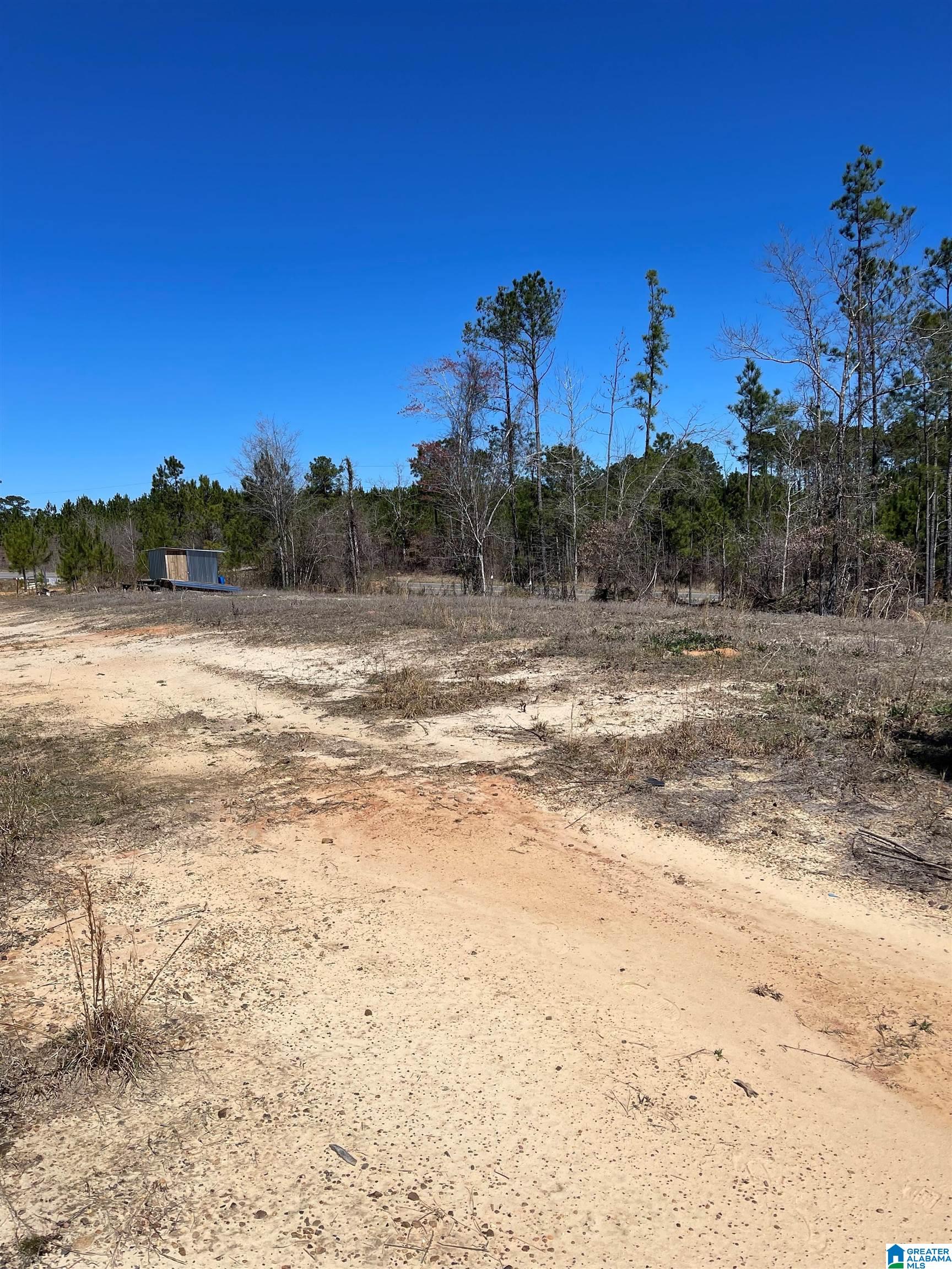 3757 County Road 107 Randolph, AL 36792 - Photo 5 of 8