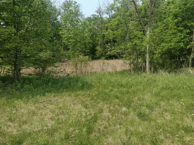 $69,000 | Lot 3-block Crystal Beach Lane, Pelican Rapids, MN 56572