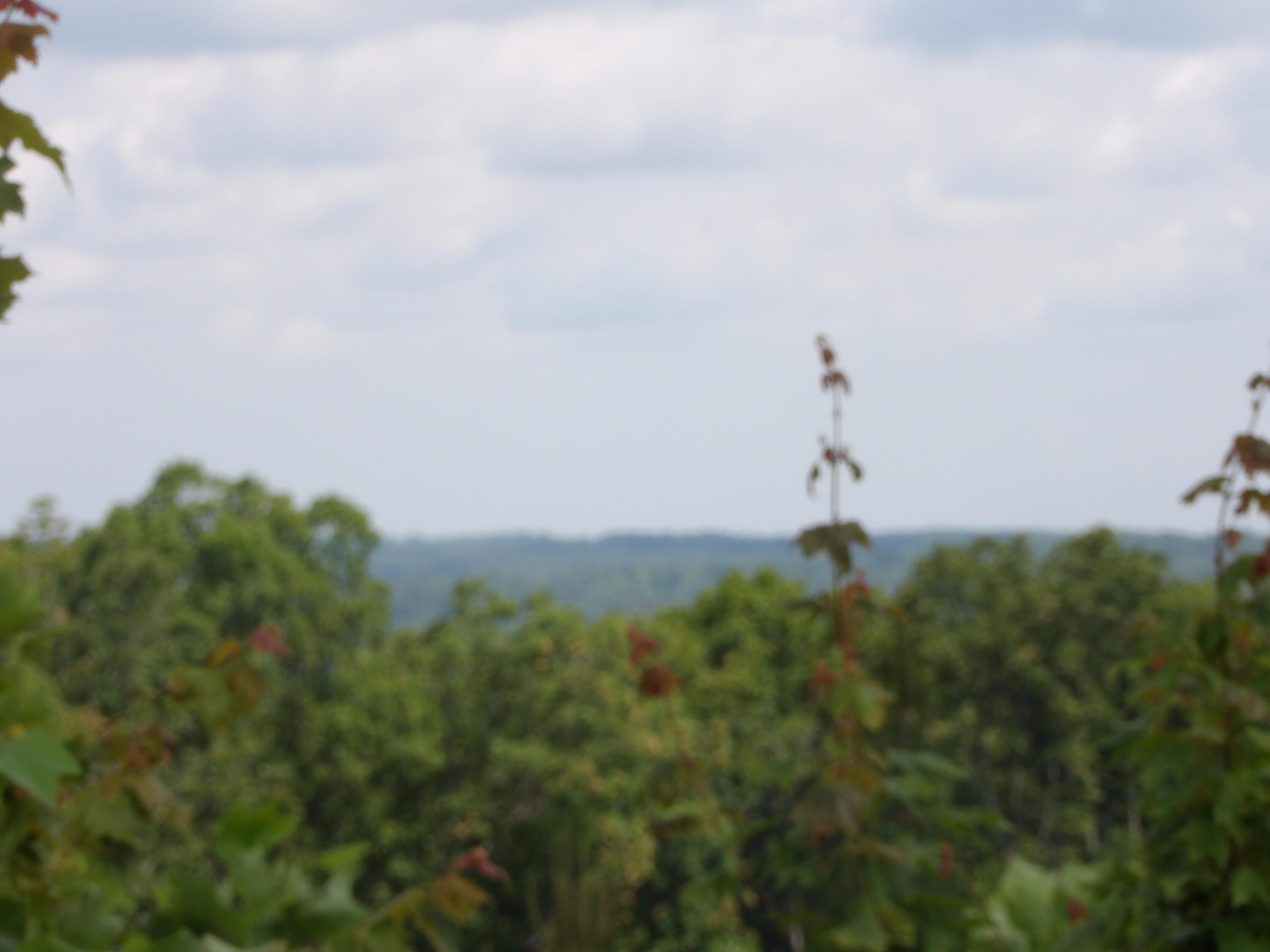 392 Hamilton Hollow Road Crossville, TN 38572 - Photo 14 of 58 100_1450