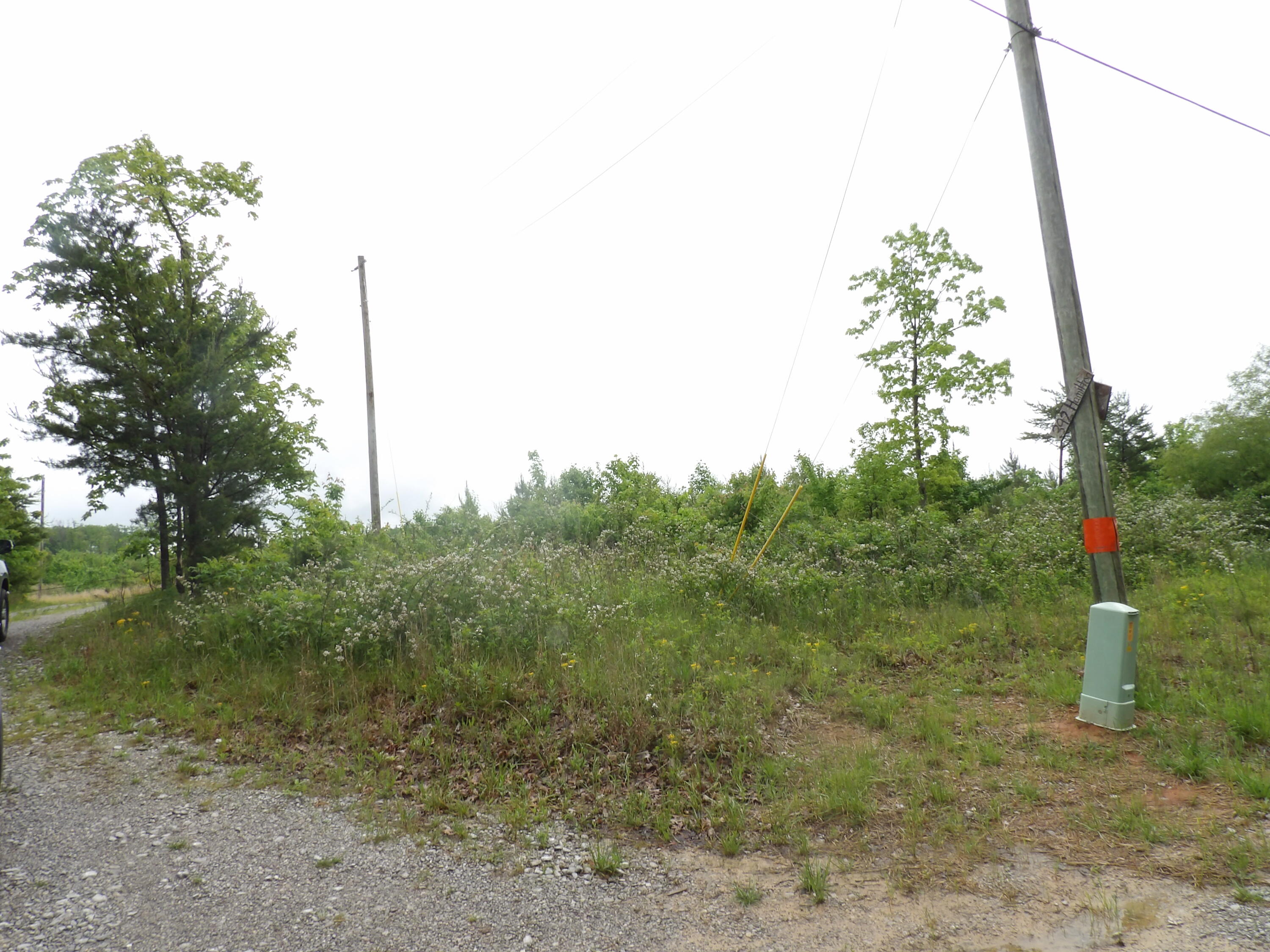 392 Hamilton Hollow Road Crossville, TN 38572 - Photo 32 of 58 100_1360