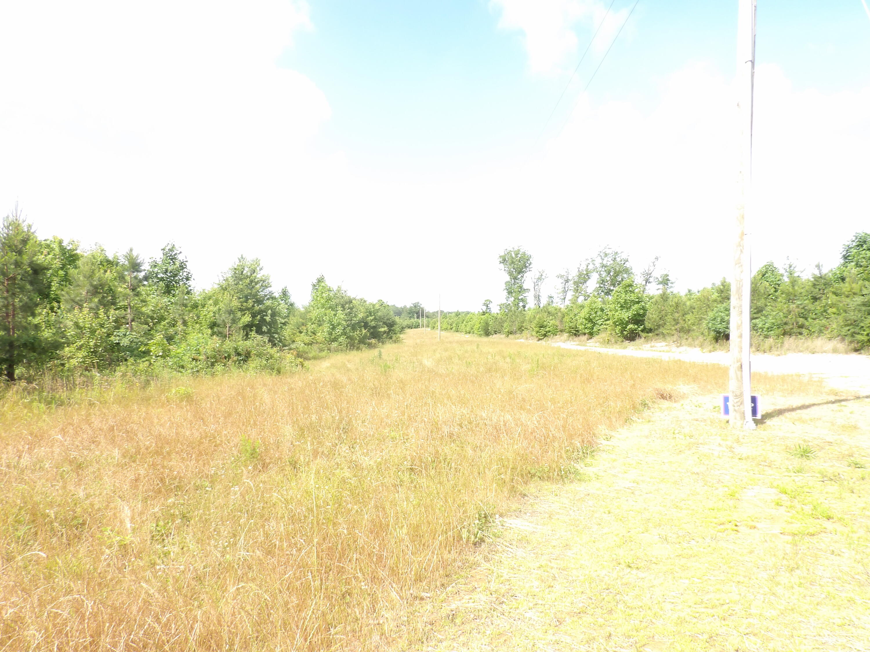 392 Hamilton Hollow Road Crossville, TN 38572 - Photo 34 of 58 100_1431