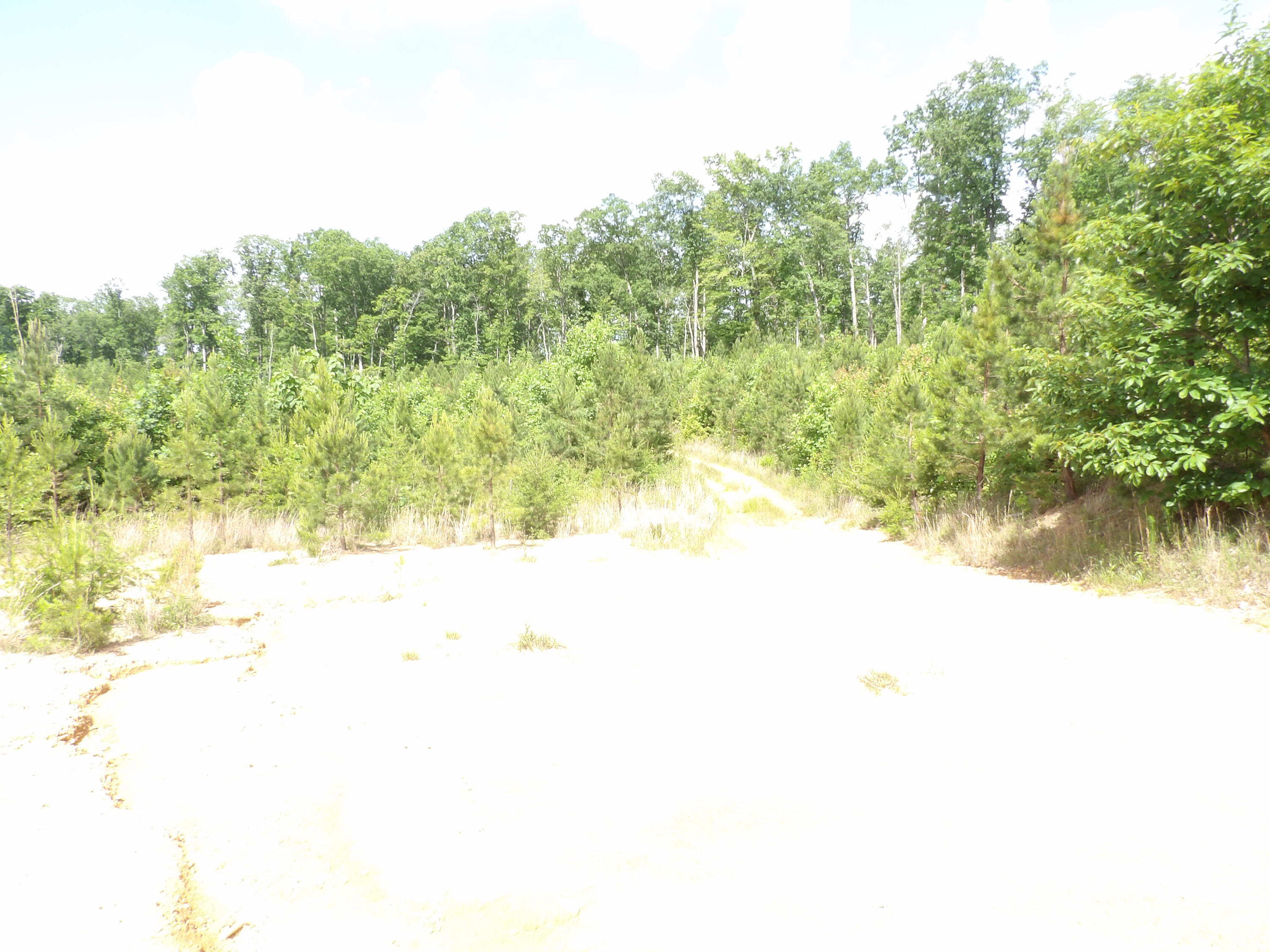 392 Hamilton Hollow Road Crossville, TN 38572 - Photo 36 of 58 100_1433