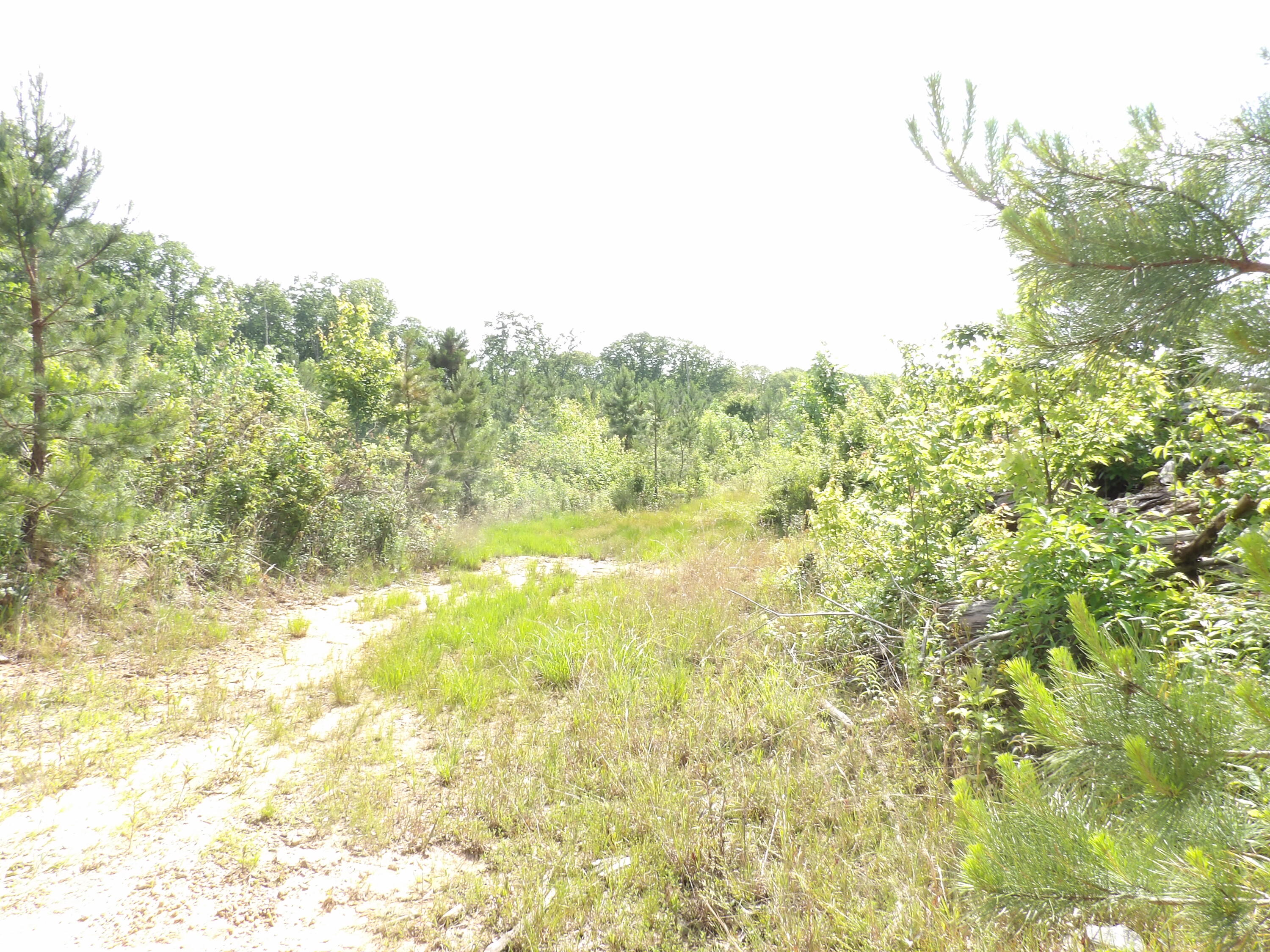 392 Hamilton Hollow Road Crossville, TN 38572 - Photo 38 of 58 100_1435