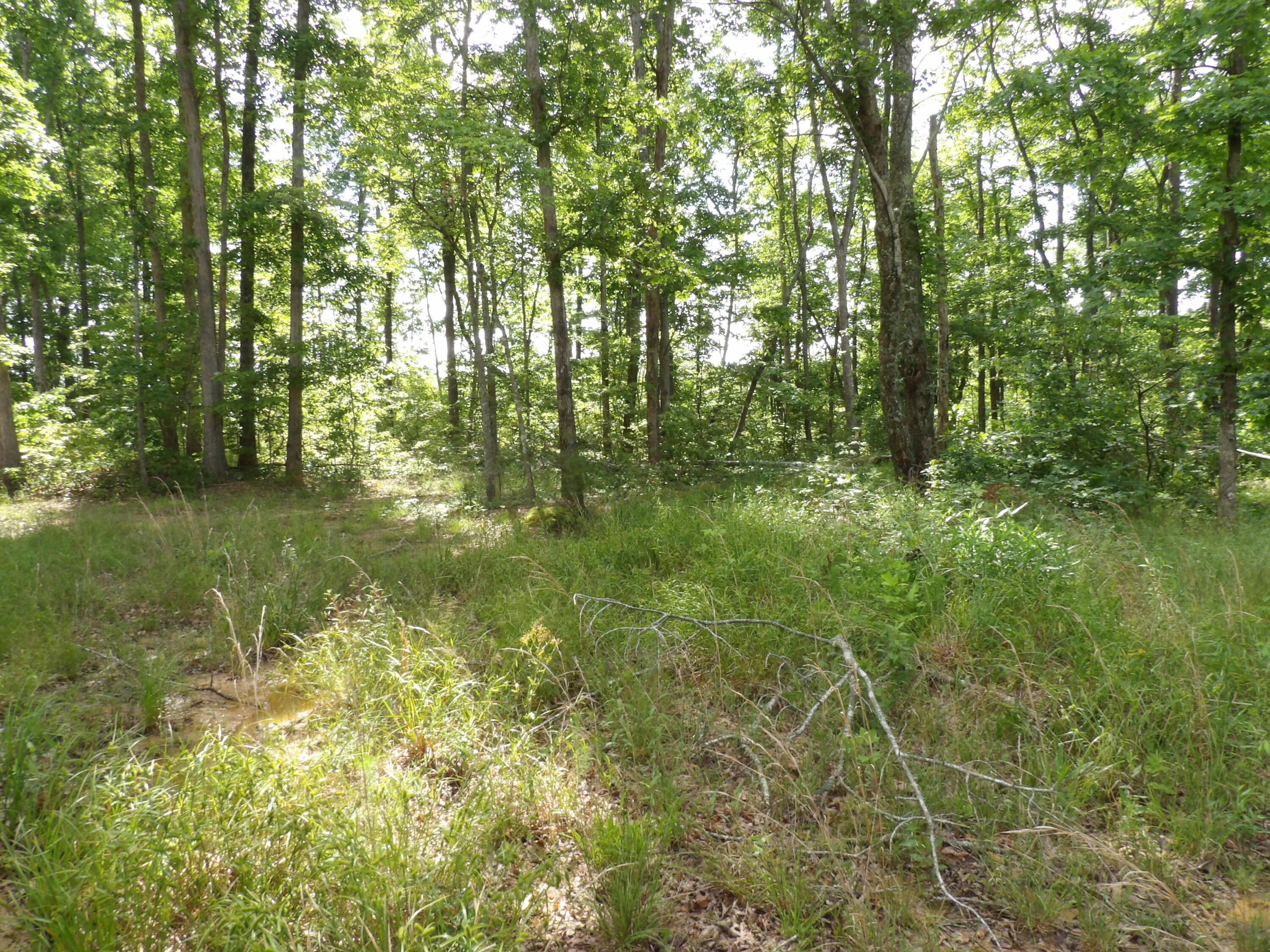 392 Hamilton Hollow Road Crossville, TN 38572 - Photo 40 of 58 100_1437