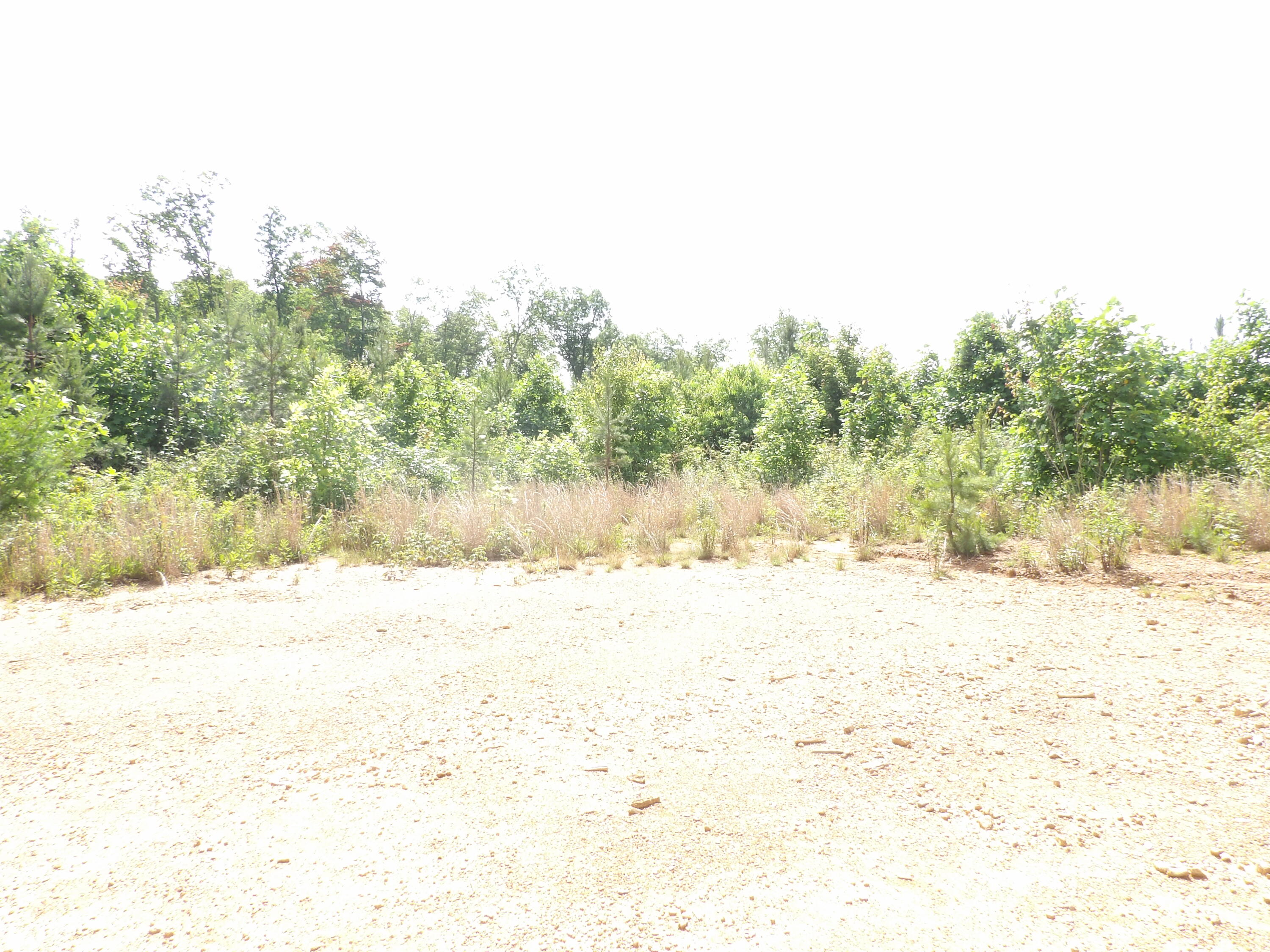 392 Hamilton Hollow Road Crossville, TN 38572 - Photo 41 of 58 100_1439