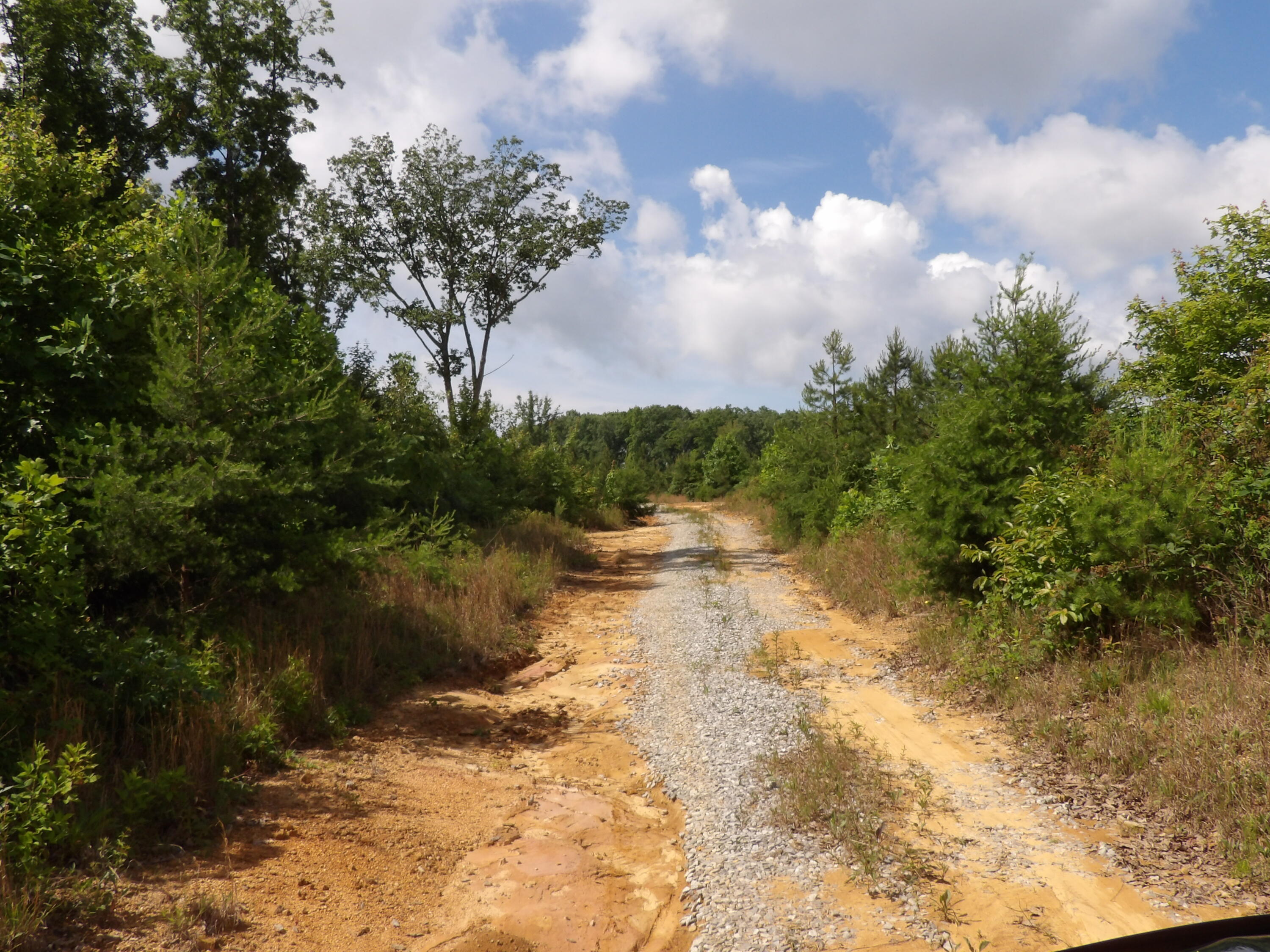 392 Hamilton Hollow Road Crossville, TN 38572 - Photo 42 of 58 100_1440