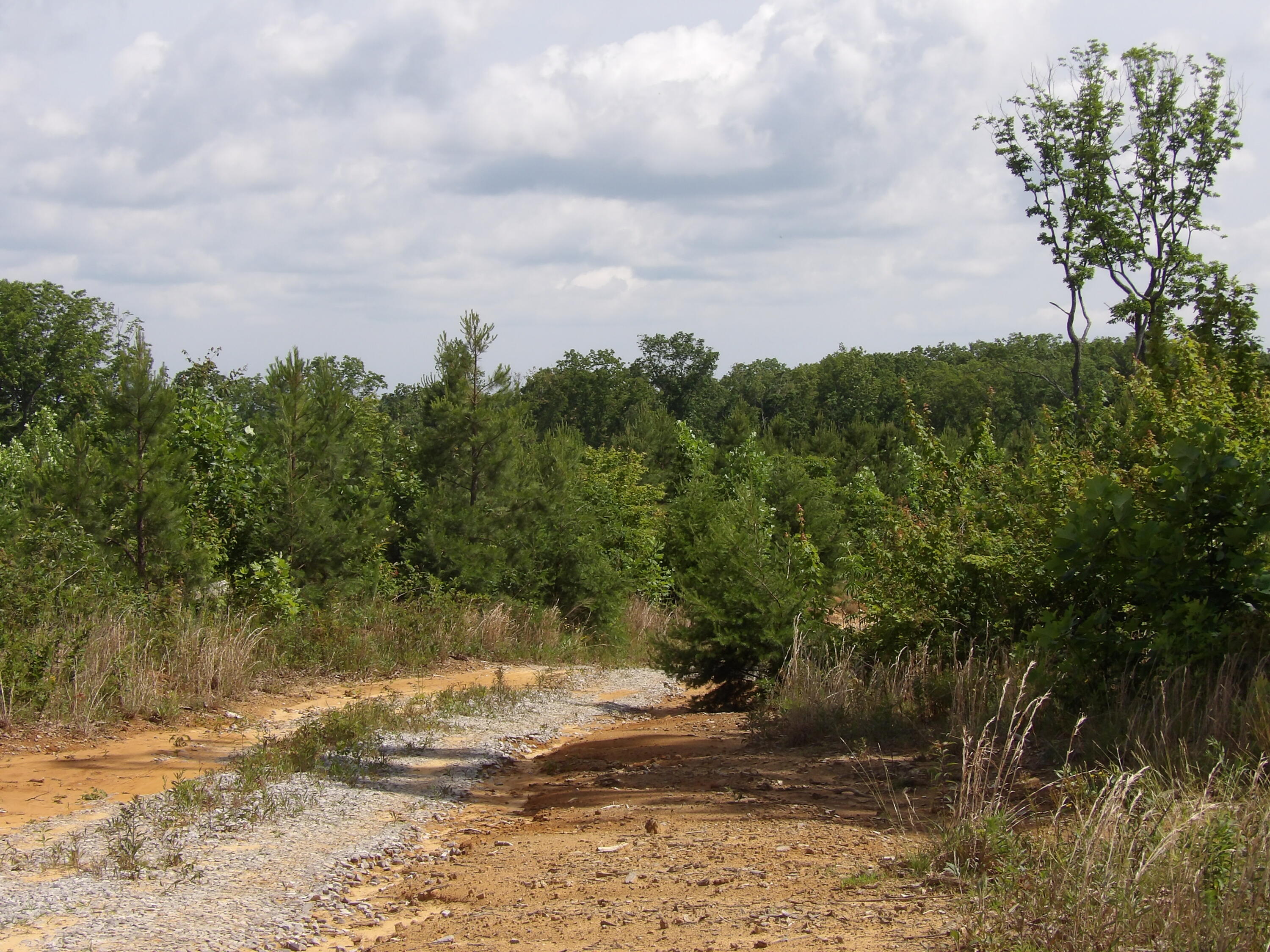392 Hamilton Hollow Road Crossville, TN 38572 - Photo 45 of 58 100_1443