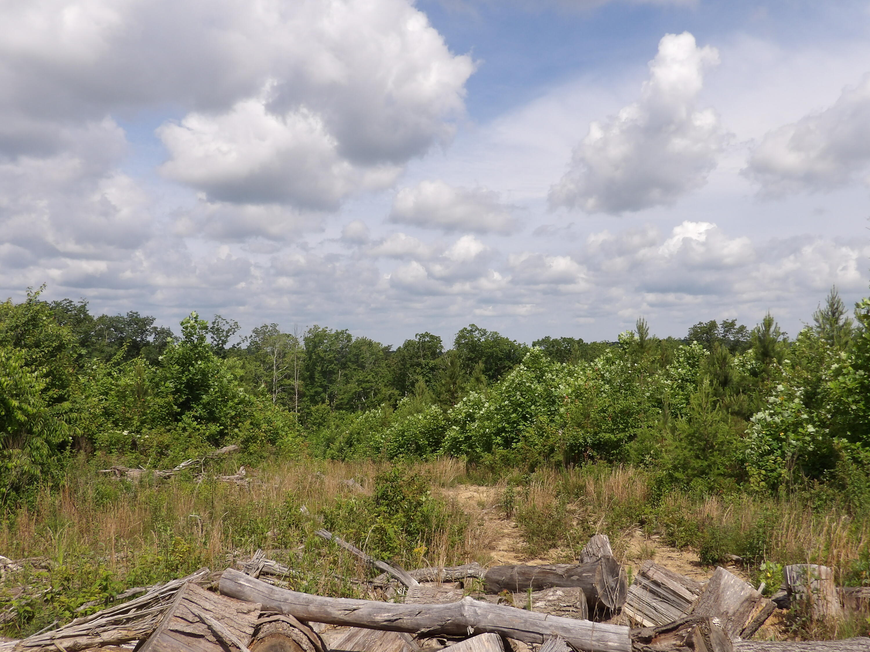 392 Hamilton Hollow Road Crossville, TN 38572 - Photo 48 of 58 100_1447