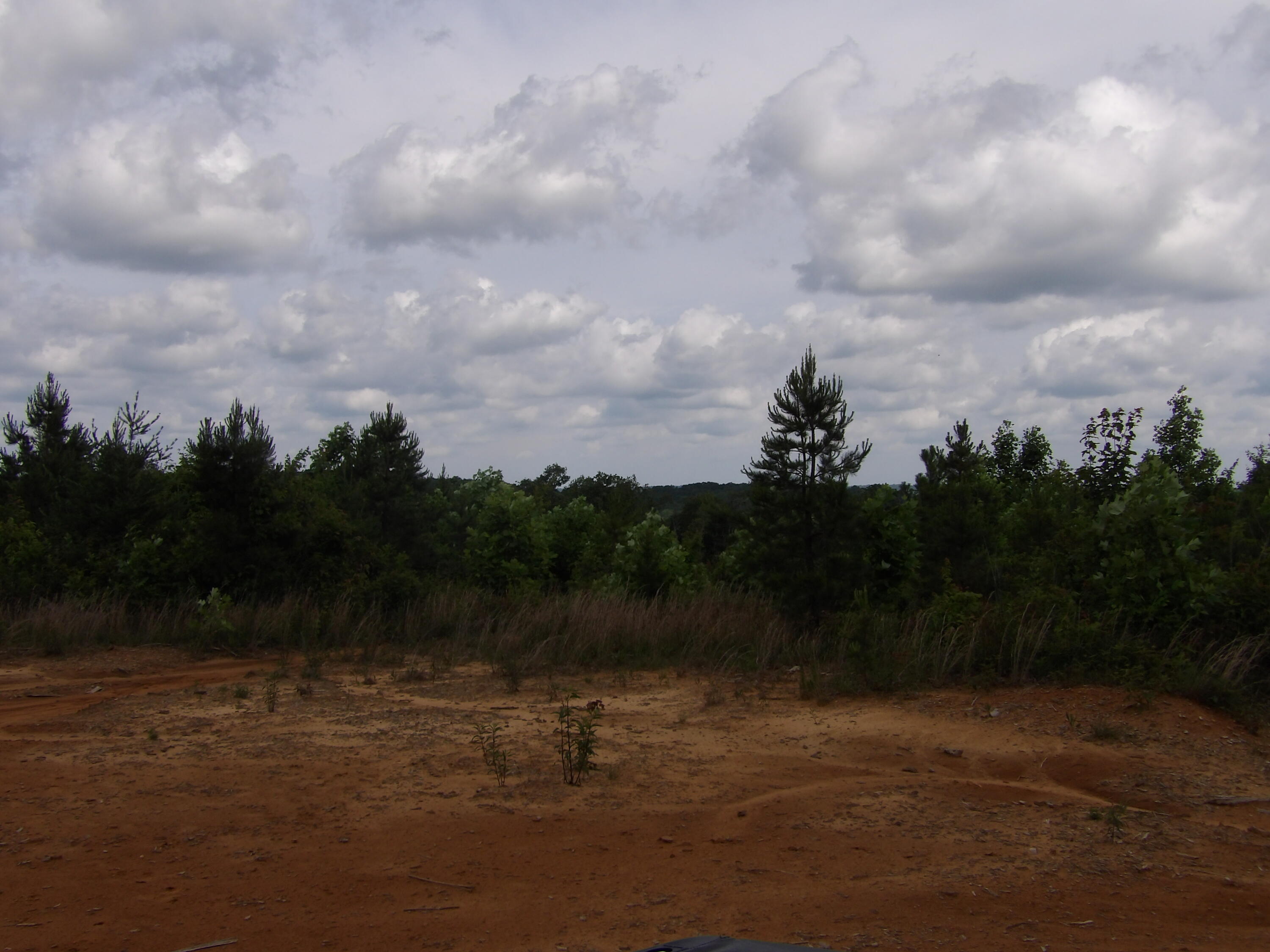 392 Hamilton Hollow Road Crossville, TN 38572 - Photo 49 of 58 100_1451