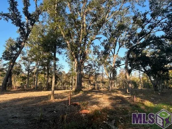 $72,090 | 14275 Old River Road, Maurepas, LA 70449