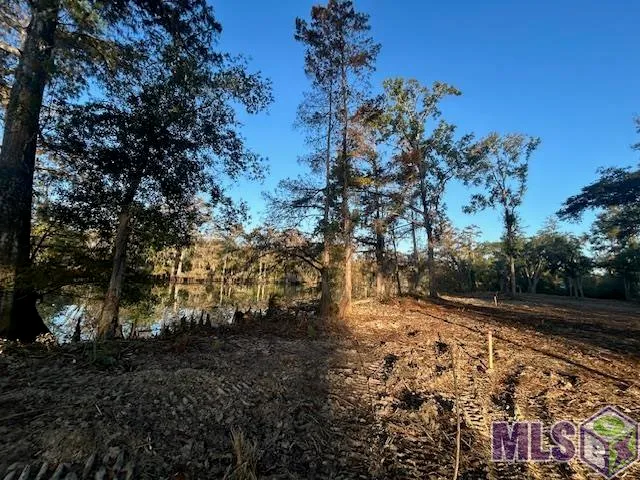 $72,090 | 14275 Old River Road, Maurepas, LA 70449