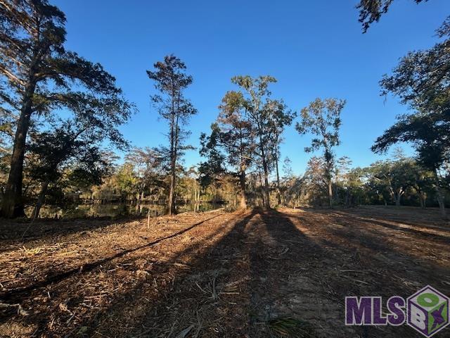 14275 Old River Road Maurepas, LA 70449 - Photo 5 of 12