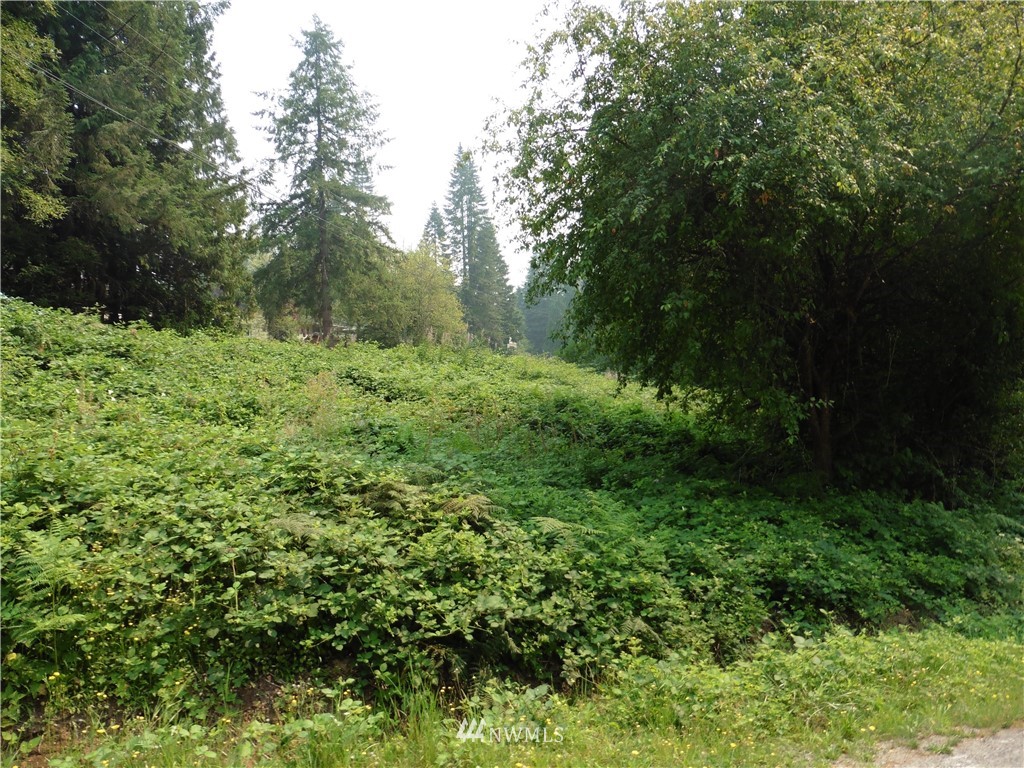 44 Ridgeway Place Sedro-Woolley, WA 98284 - Photo 1 of 6 Gallery Image 1