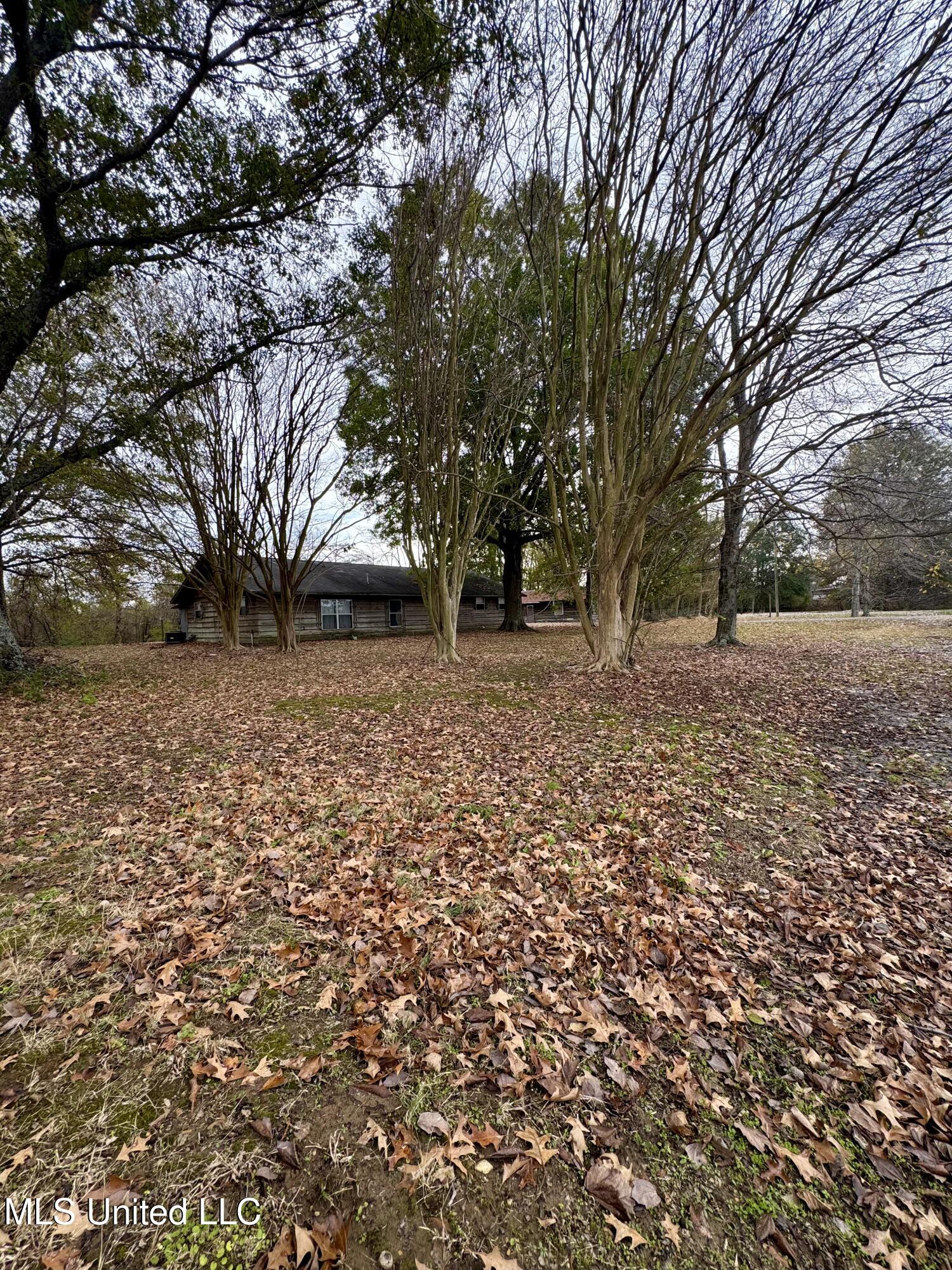 768 Louis Bennett Road Anguilla, MS 38721 - Photo 3 of 25 IMG_1297