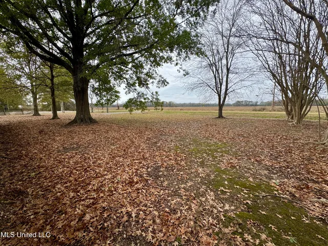 $139,000 | 768 Louis Bennett Road, Anguilla, MS 38721