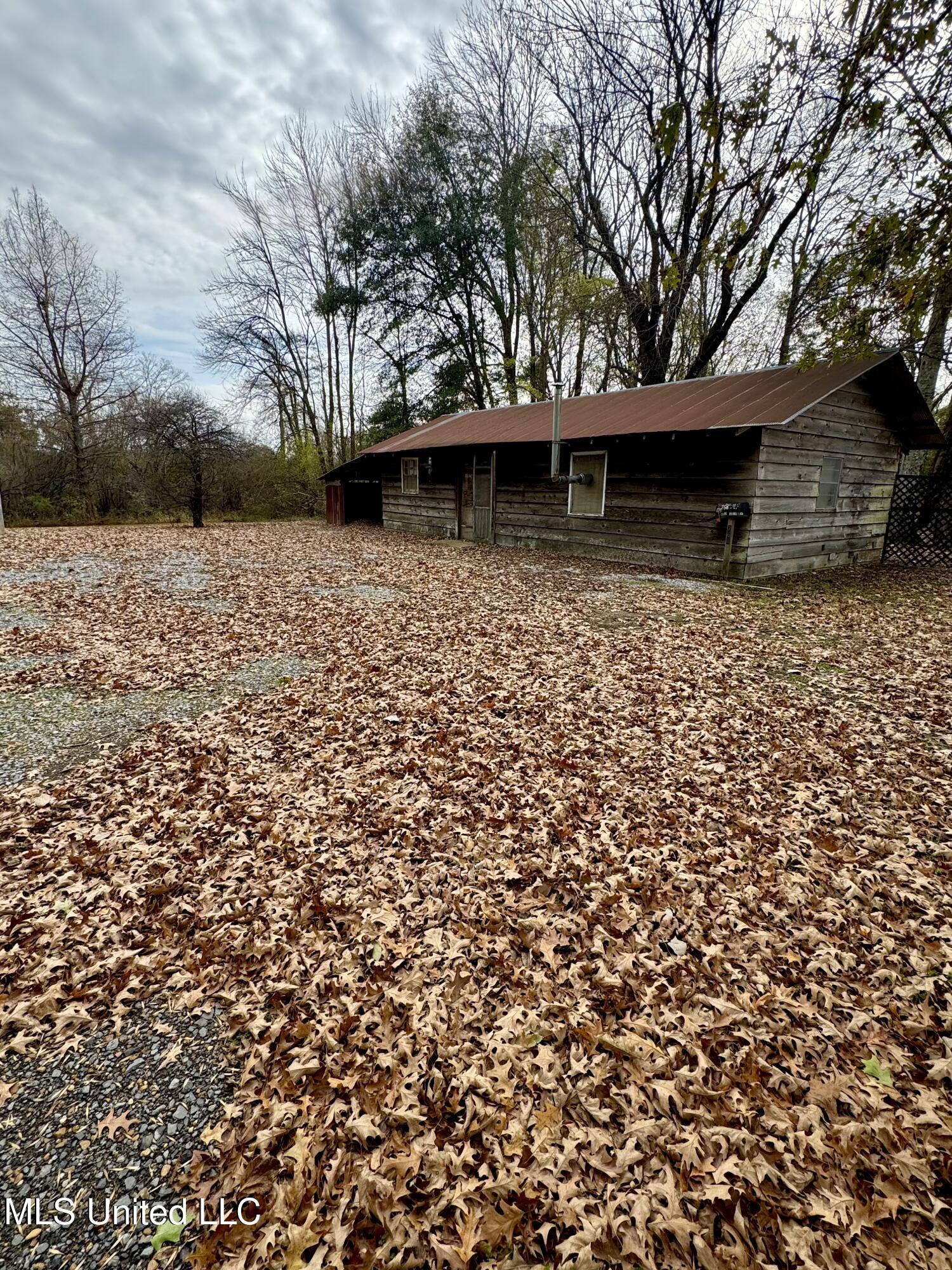 768 Louis Bennett Road Anguilla, MS 38721 - Photo 9 of 25 IMG_1304