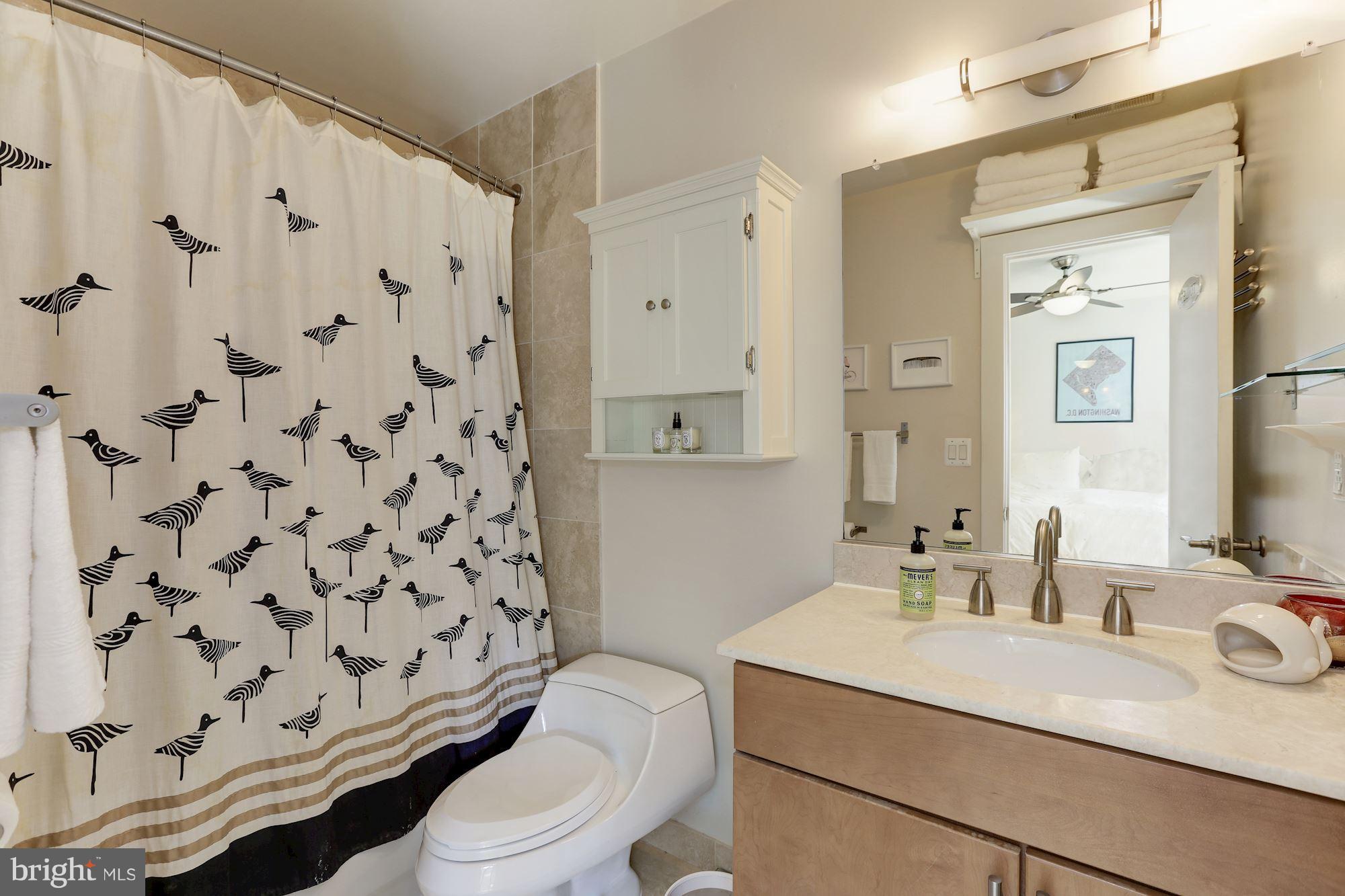 449 R Street Northwest, Unit 10 Washington, DC 20001 - Photo 15 of 23 a bathroom with a sink toilet vanity and shower