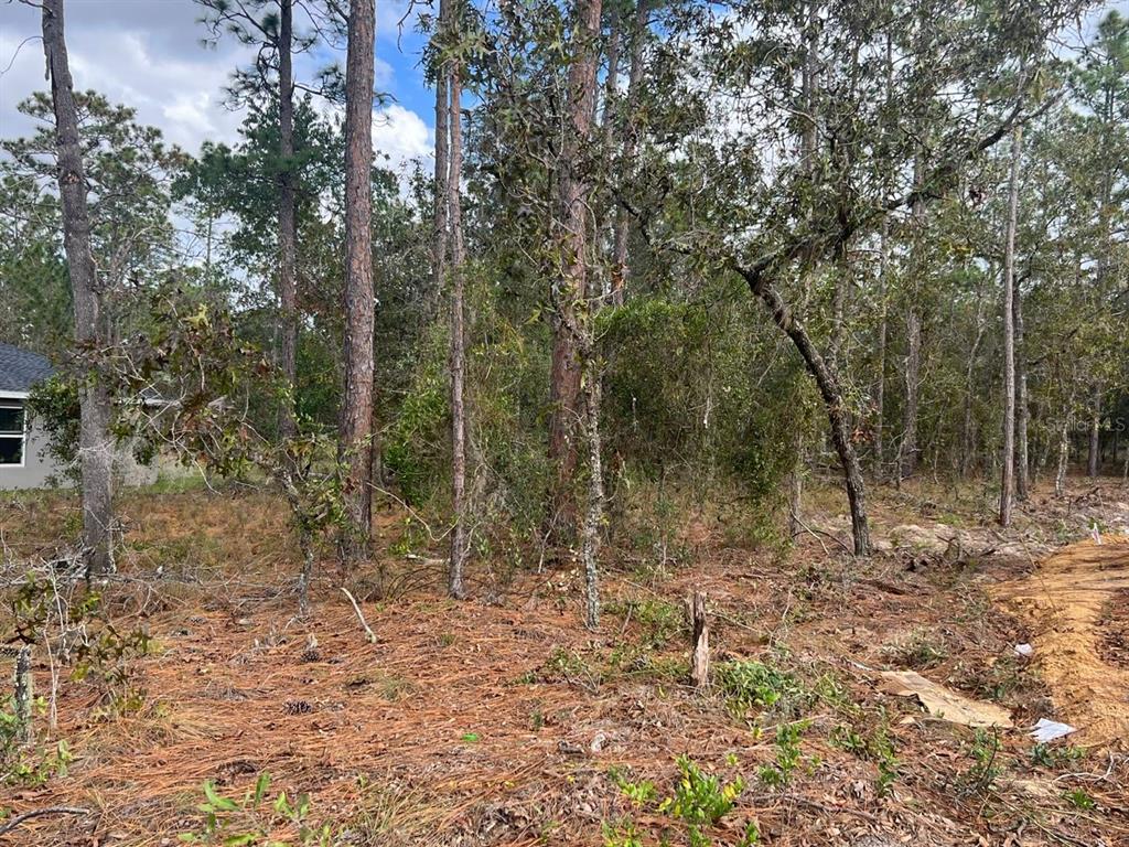 Tbd Northwest Sparrow Road Dunnellon, FL 34431 - Photo 1 of 1 Gallery Image 1