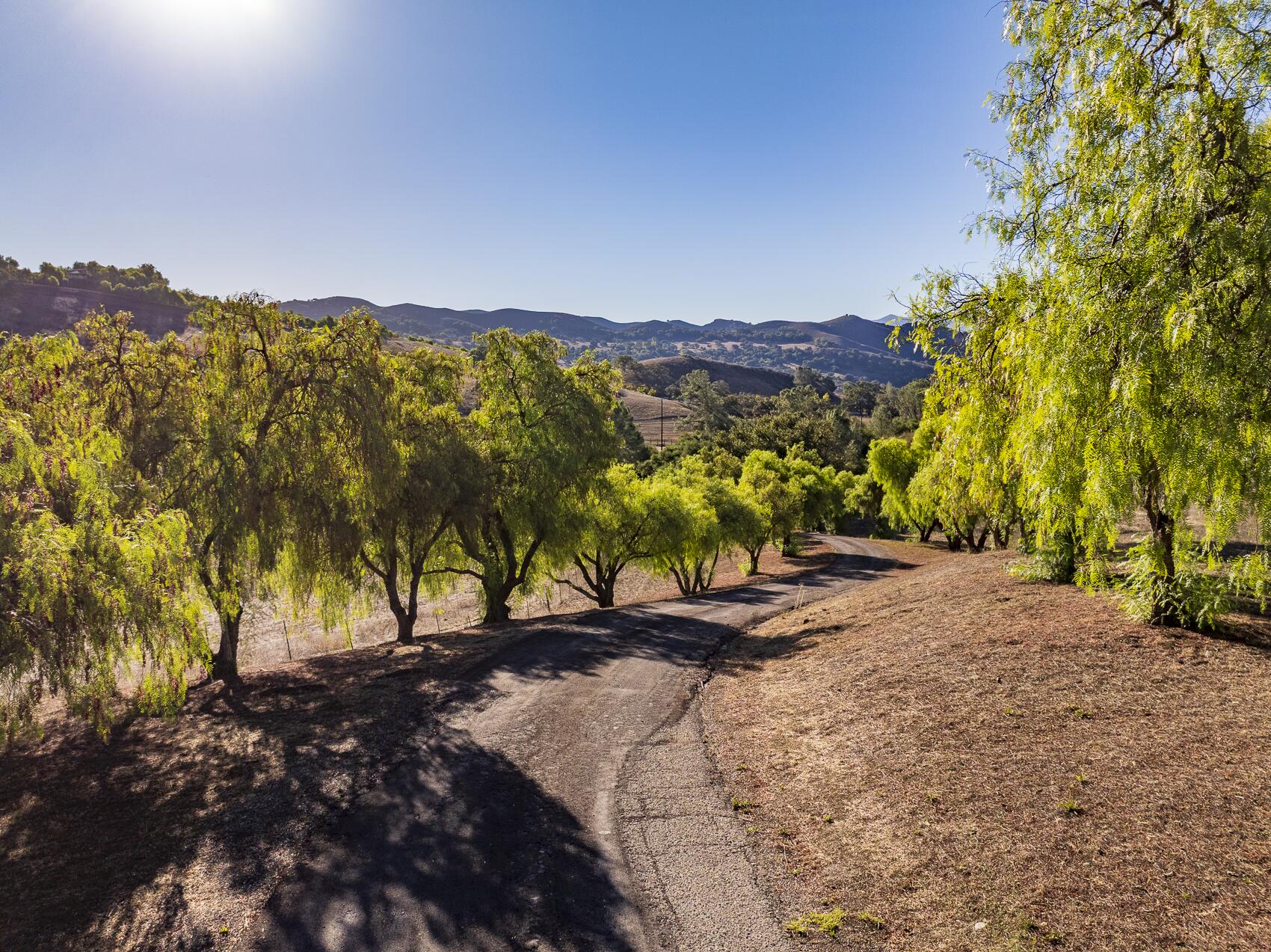 1959 Rambling Oaks Road Santa Ynez, CA 93460 - Photo 14 of 42 a view of a road with a yard