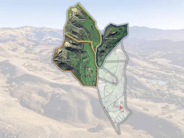 a vase of flowers sitting on a table