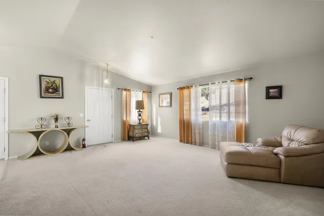 a view of a garden with a lot of flower plants