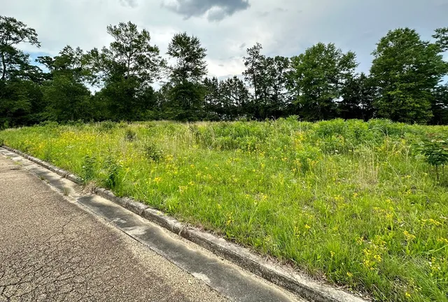 $69,500 | Lot 15 Business Center Drive, McComb, MS 39648