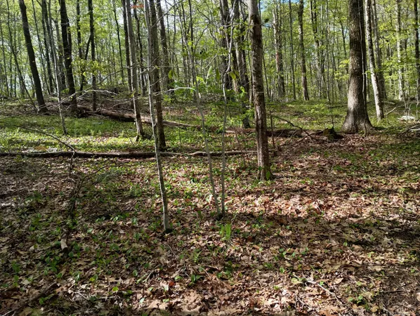 $160,000 | Litchfield Road, Watertown, CT 06795