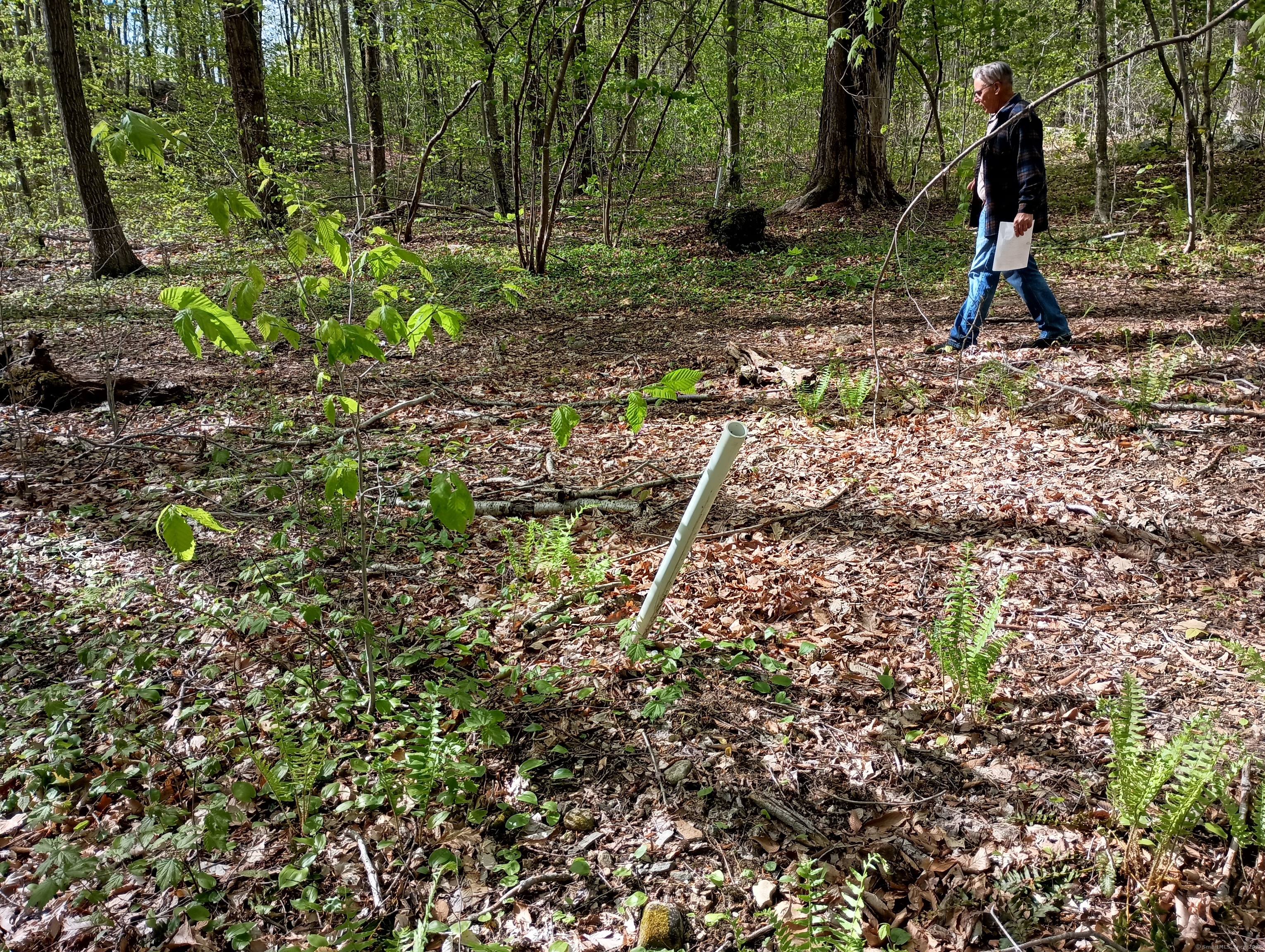 Litchfield Road Watertown, CT 06795 - Photo 11 of 21 Perc location