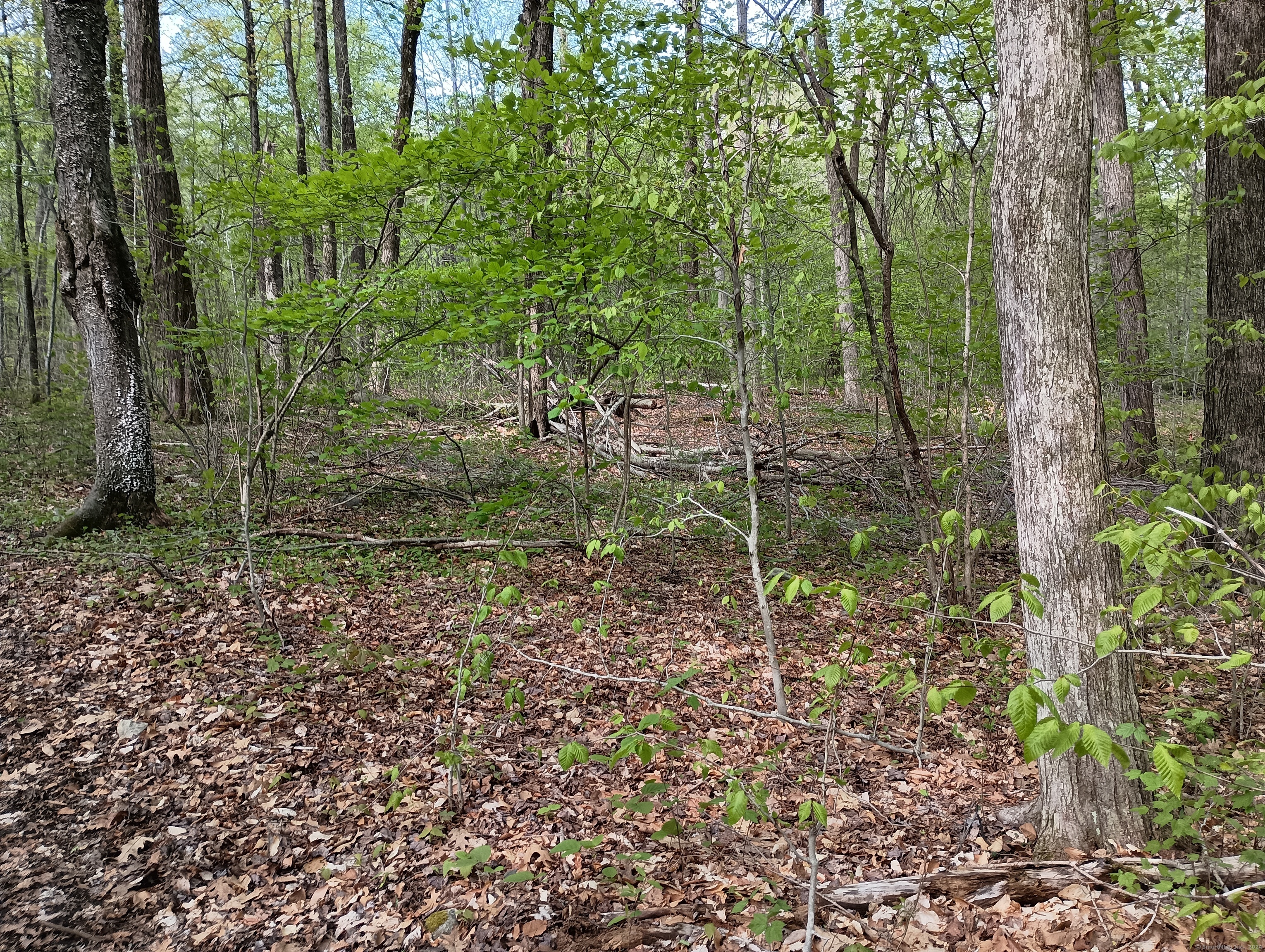 Litchfield Road Watertown, CT 06795 - Photo 12 of 21