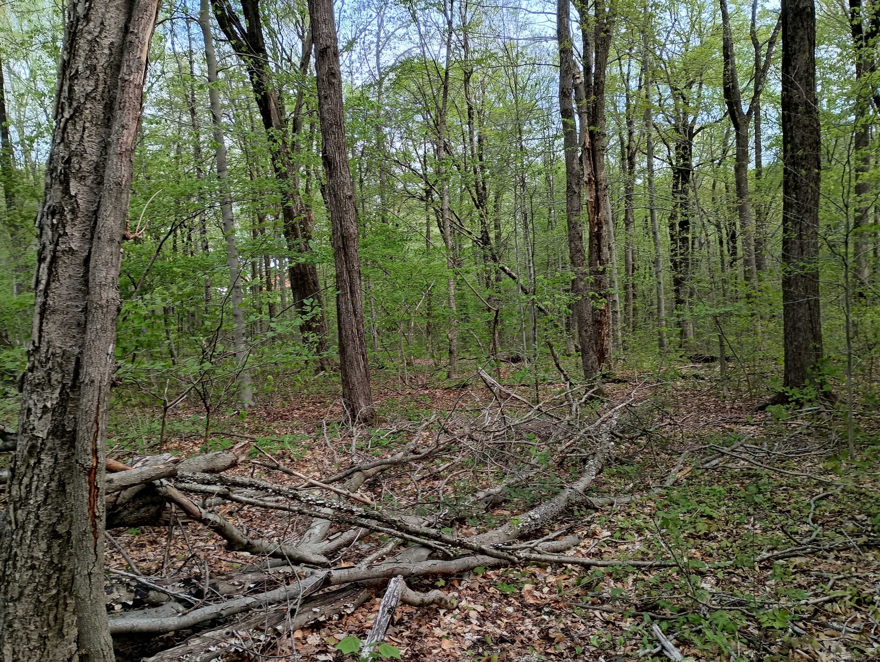 Litchfield Road Watertown, CT 06795 - Photo 13 of 21