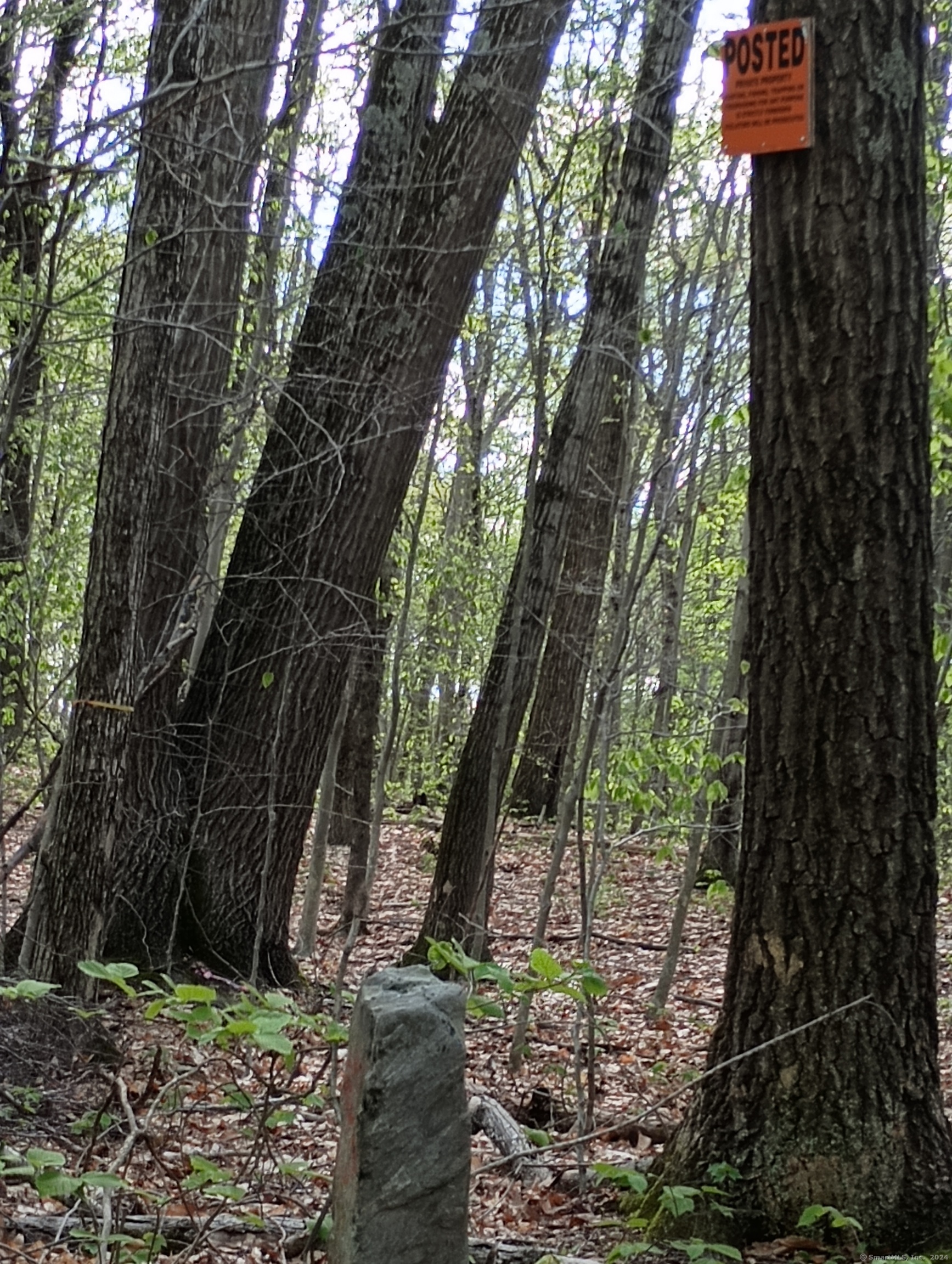 Litchfield Road Watertown, CT 06795 - Photo 16 of 21