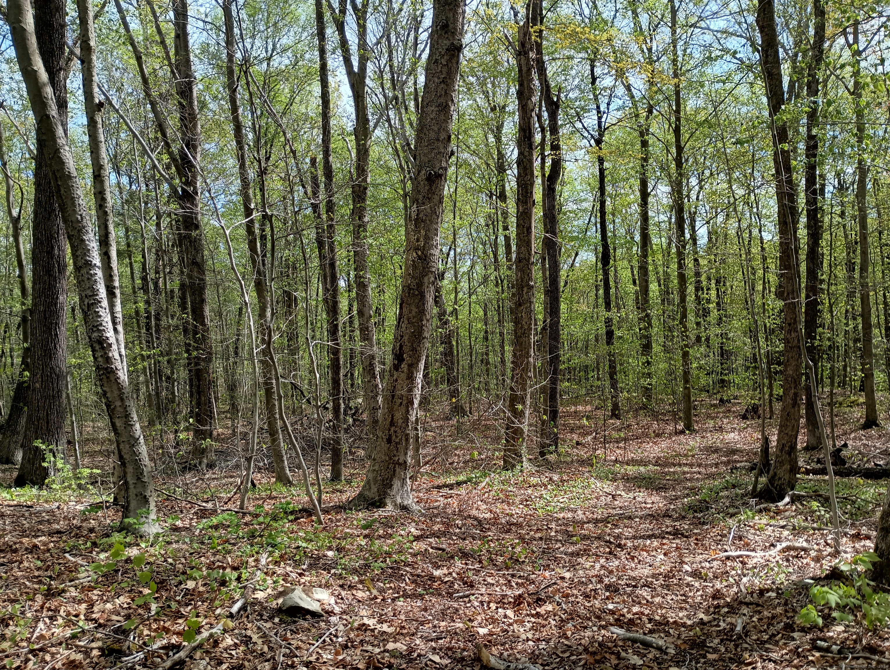 Litchfield Road Watertown, CT 06795 - Photo 17 of 21