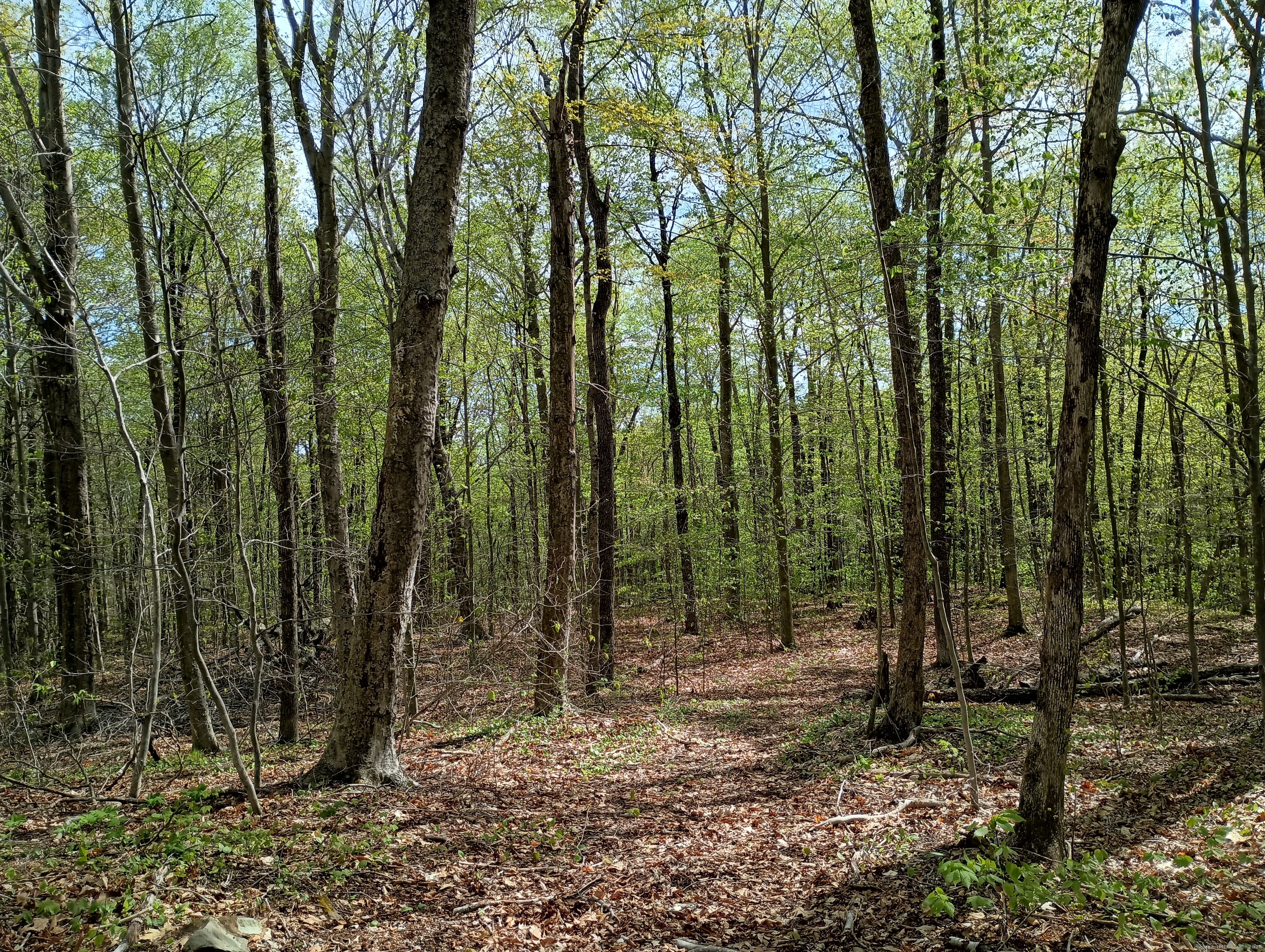 Litchfield Road Watertown, CT 06795 - Photo 18 of 21