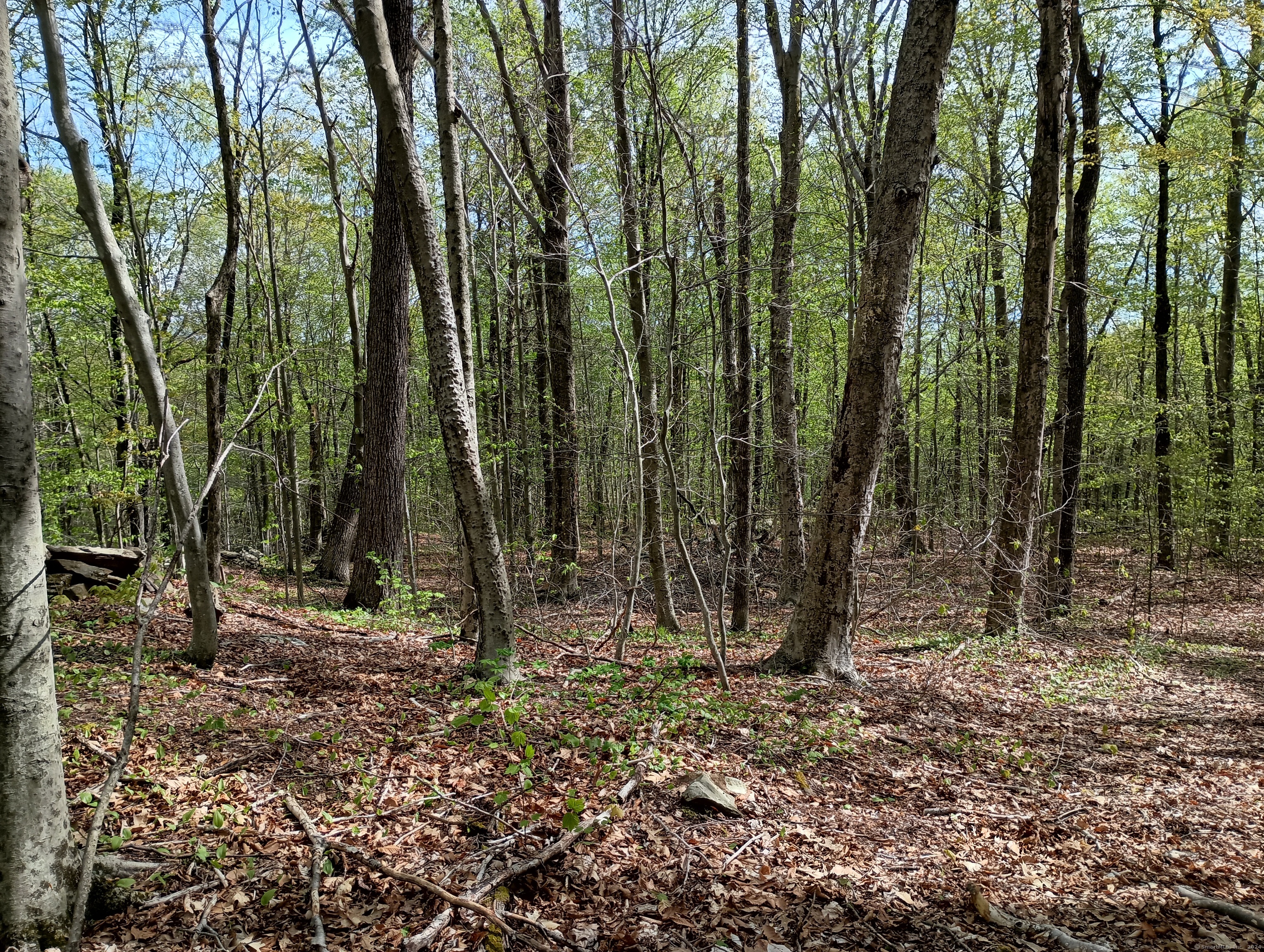 Litchfield Road Watertown, CT 06795 - Photo 19 of 21