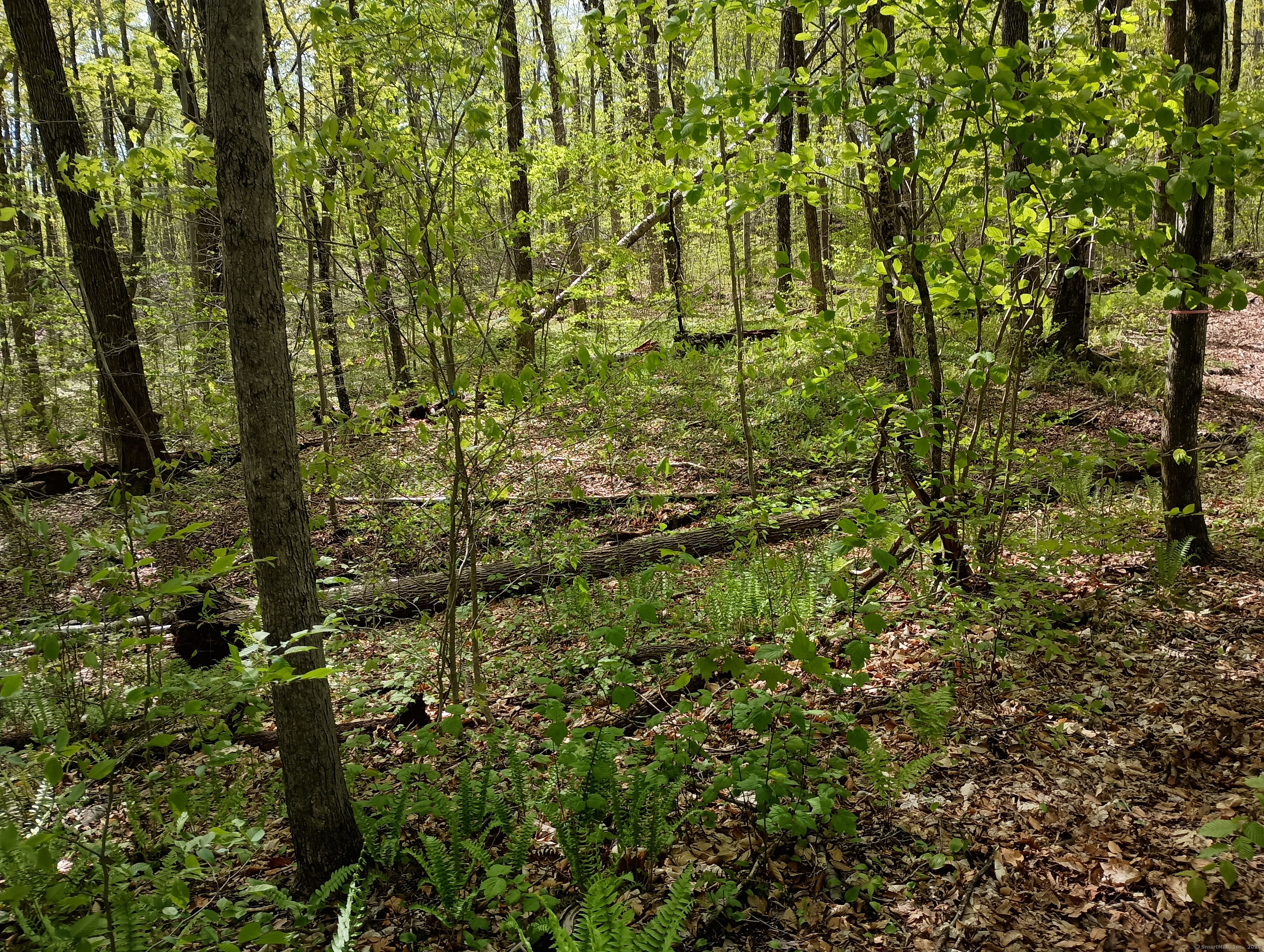 Litchfield Road Watertown, CT 06795 - Photo 20 of 21