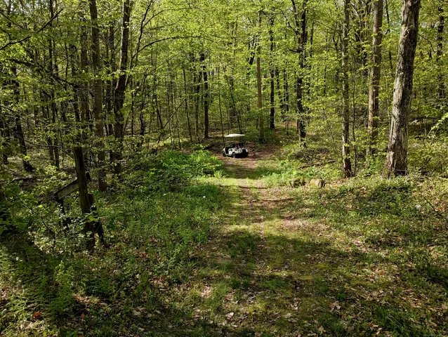 a view of outdoor space and a yard