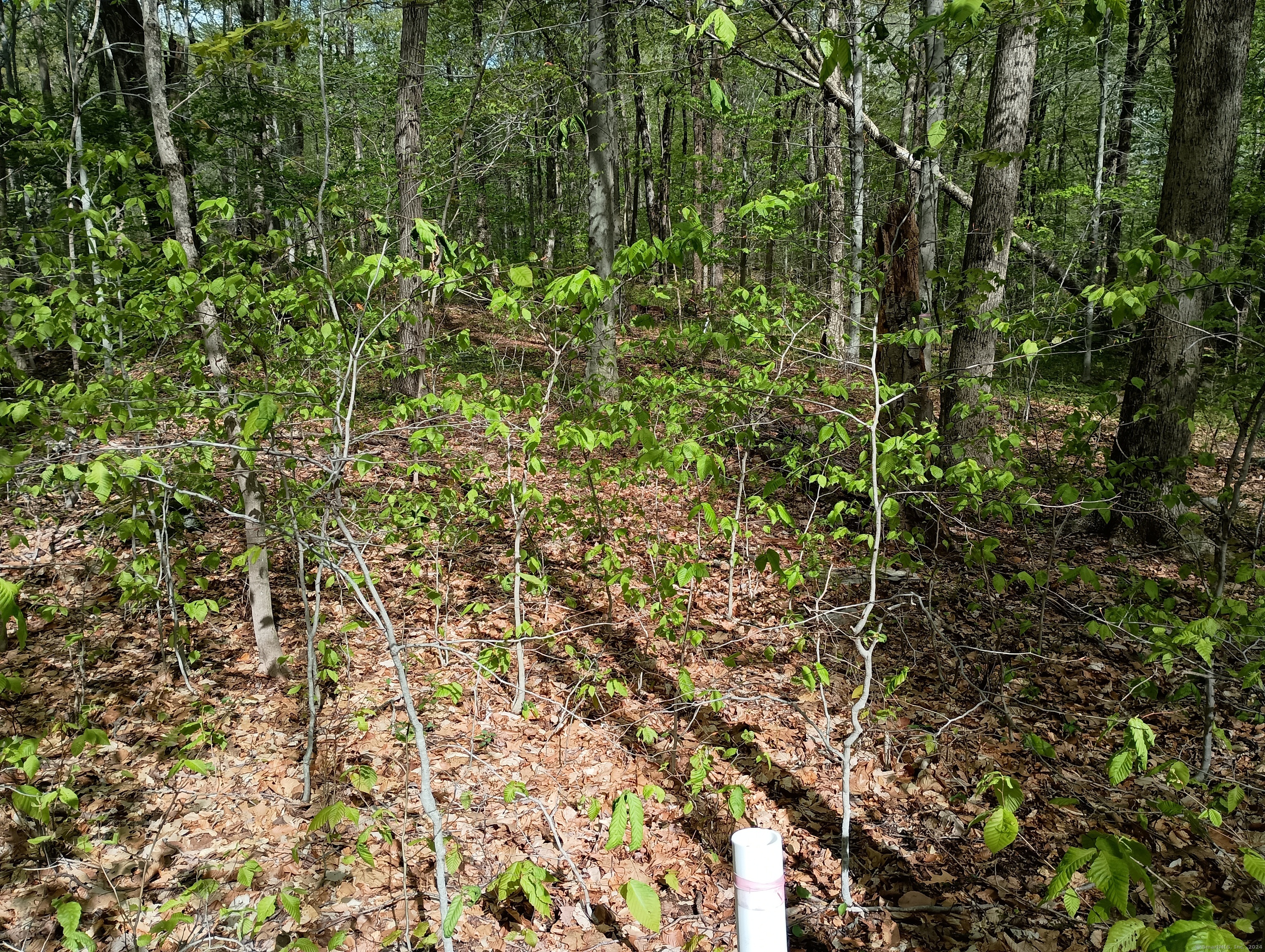 Litchfield Road Watertown, CT 06795 - Photo 9 of 21