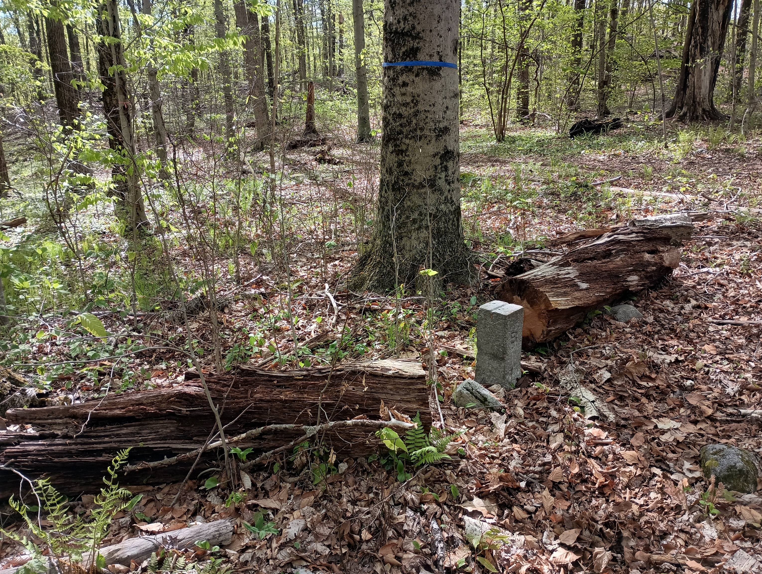 Litchfield Road Watertown, CT 06795 - Photo 10 of 21 Townline and property boundary marker. Watertown/Bethlehem CT