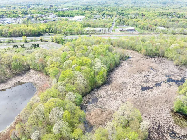 a view of a garden with a bench