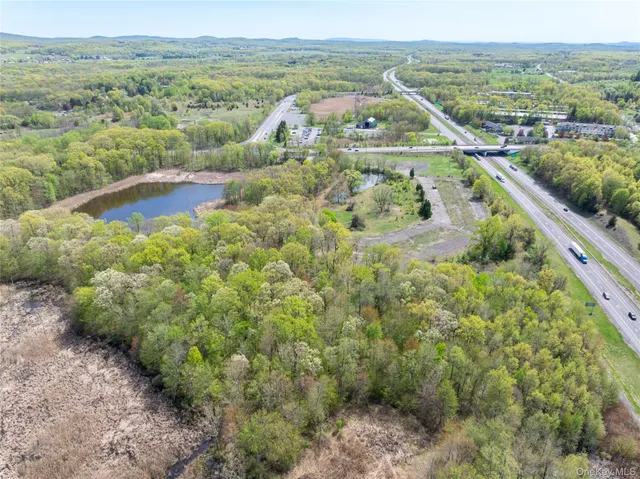 a view of a lush green forest with mountain and green space