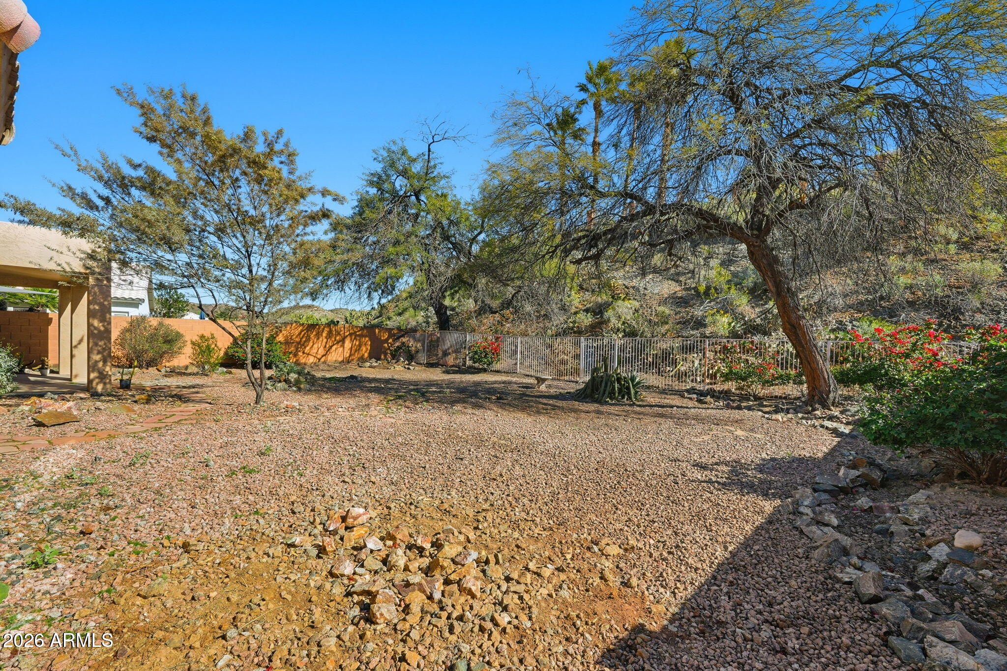 16651 South 18th Way Phoenix, AZ 85048 - Photo 40 of 43 a view of dirt yard with a large tree
