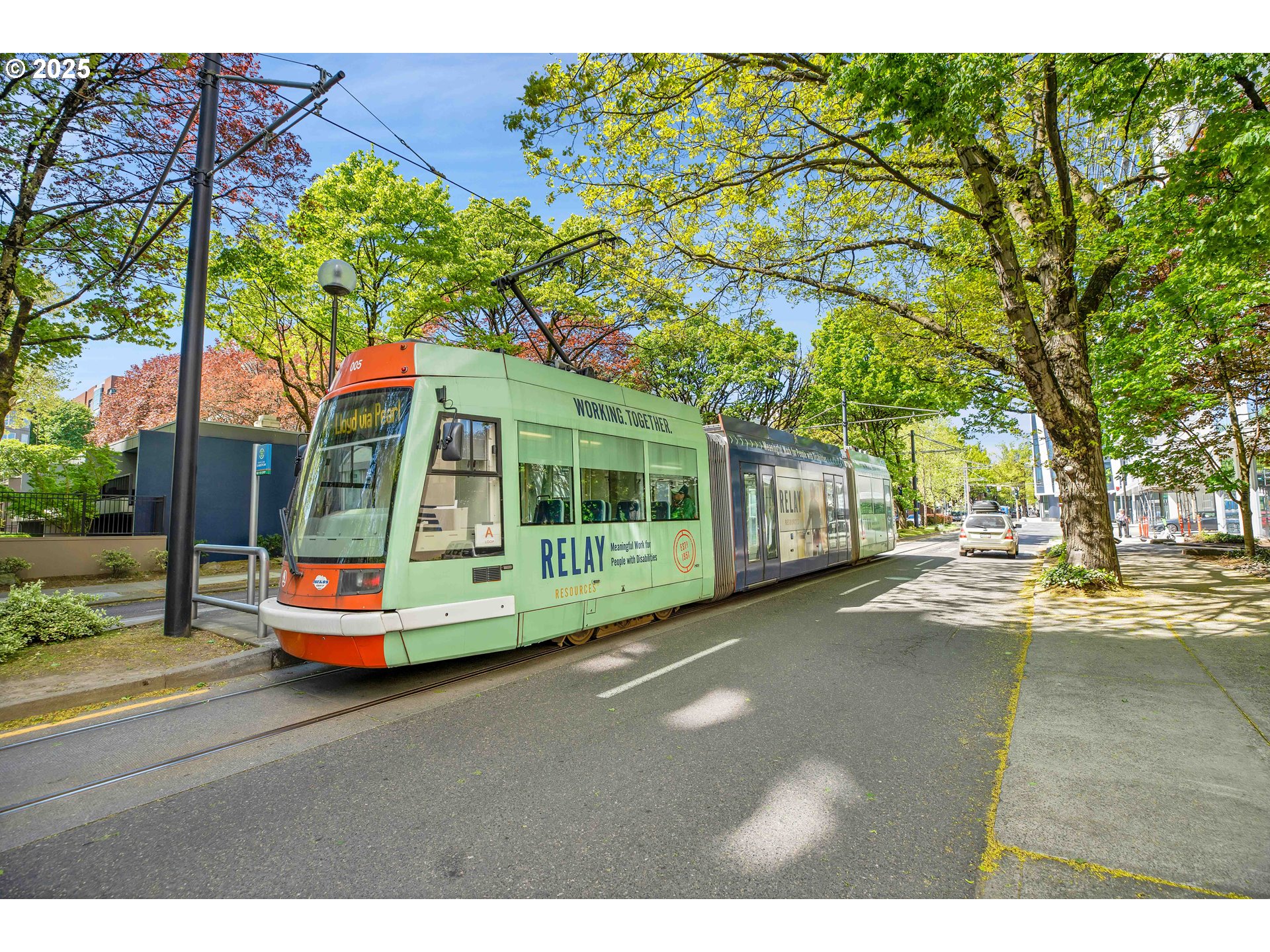 255 Southwest Harrison Street, Unit 17F Portland, OR 97201 - Photo 22 of 31 a small garden covered with tall trees