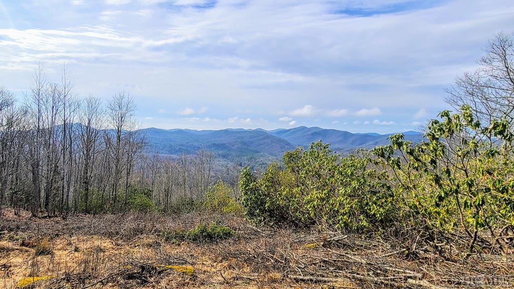 Lot 9 Fox Run Ridge Road Sapphire, NC 28774 - Photo 1 of 13 Gallery Image 1